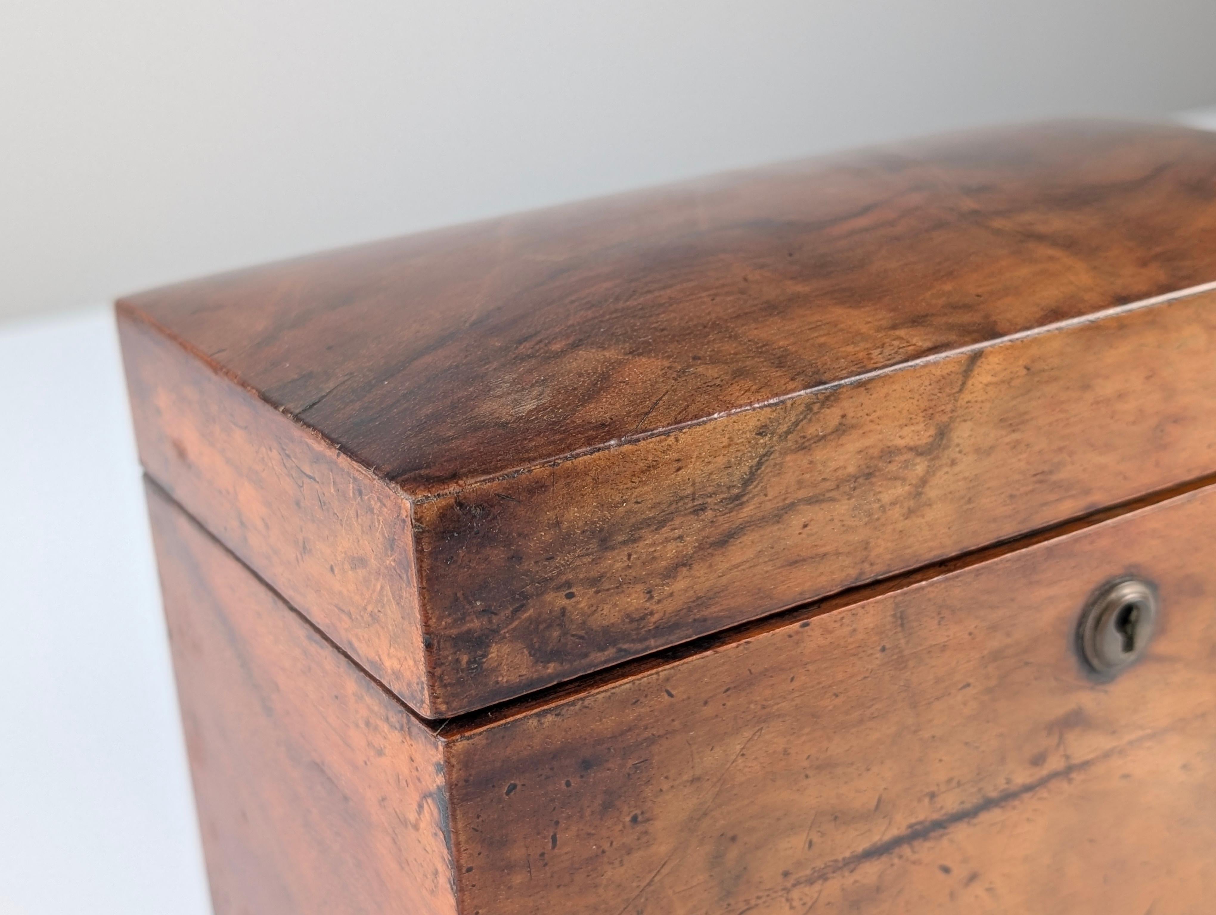 Antique Tea Caddy, 19th Century 6