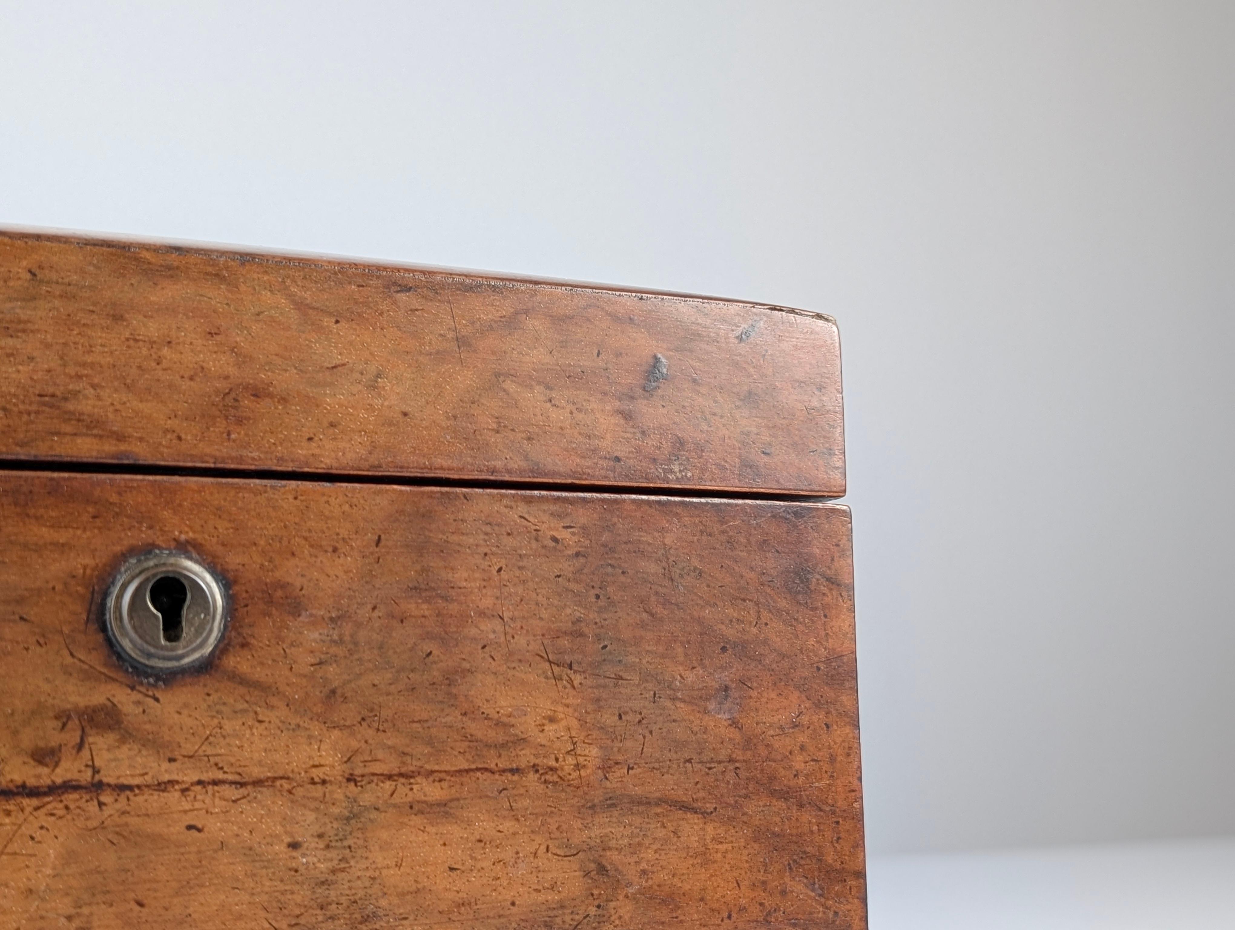 Antique Tea Caddy, 19th Century 7