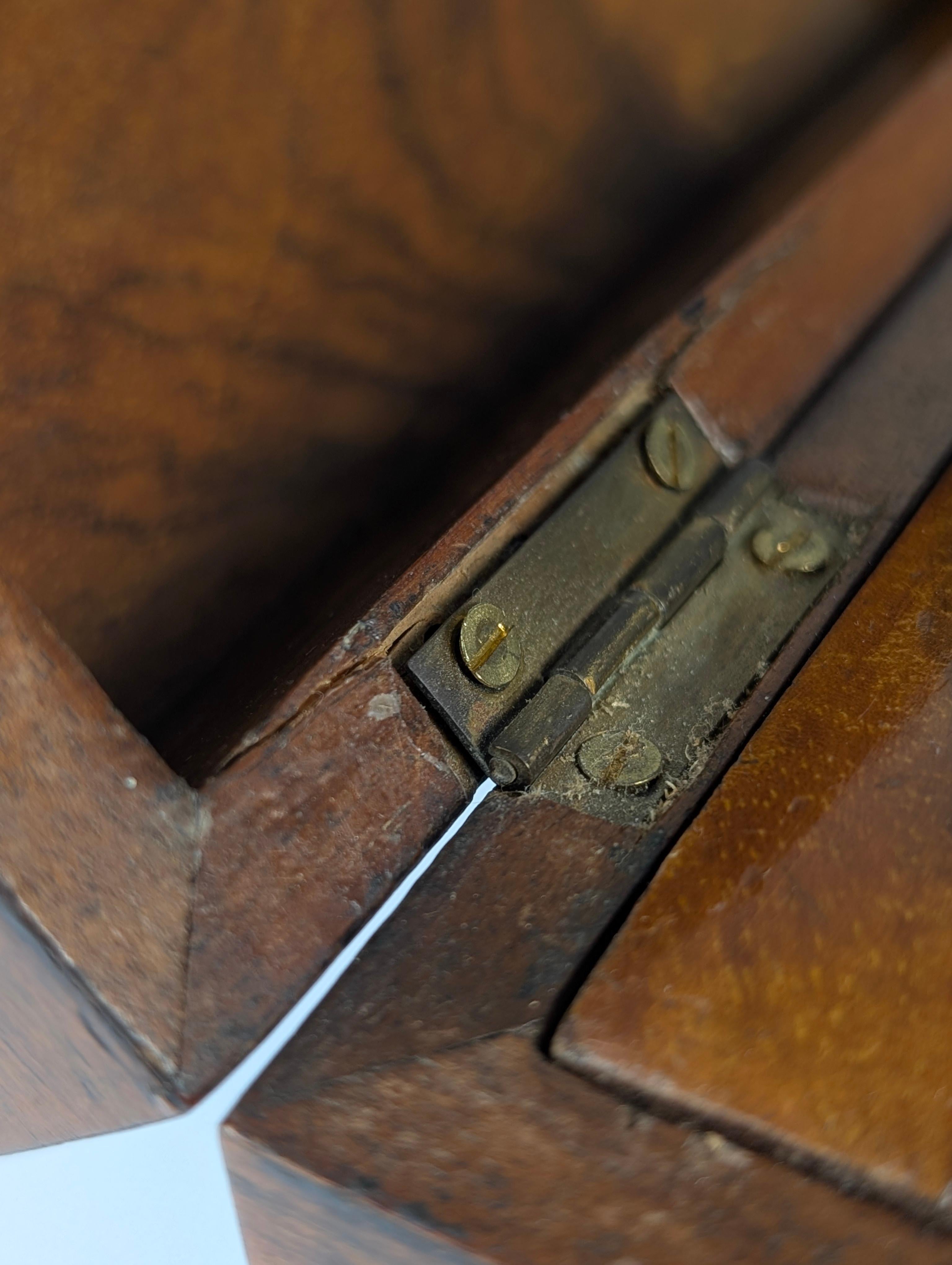 Antique Tea Caddy, 19th Century 10