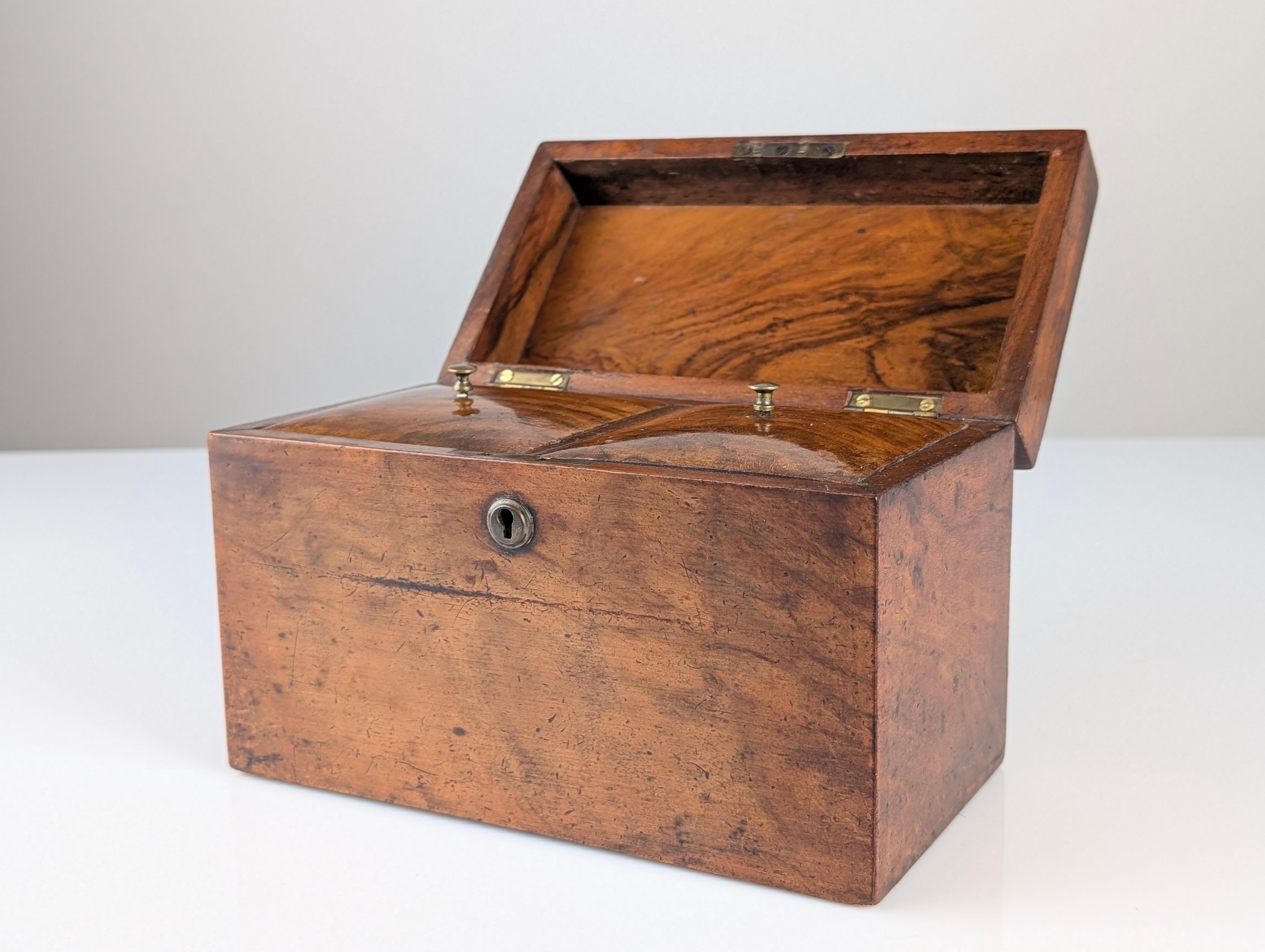 Antique tea caddy crafted in wood with a beautifully preserved original patina from the late 19th century. This exquisite piece features two interior compartments with their original finely curved wooden lids, fitting perfectly and showcasing clean