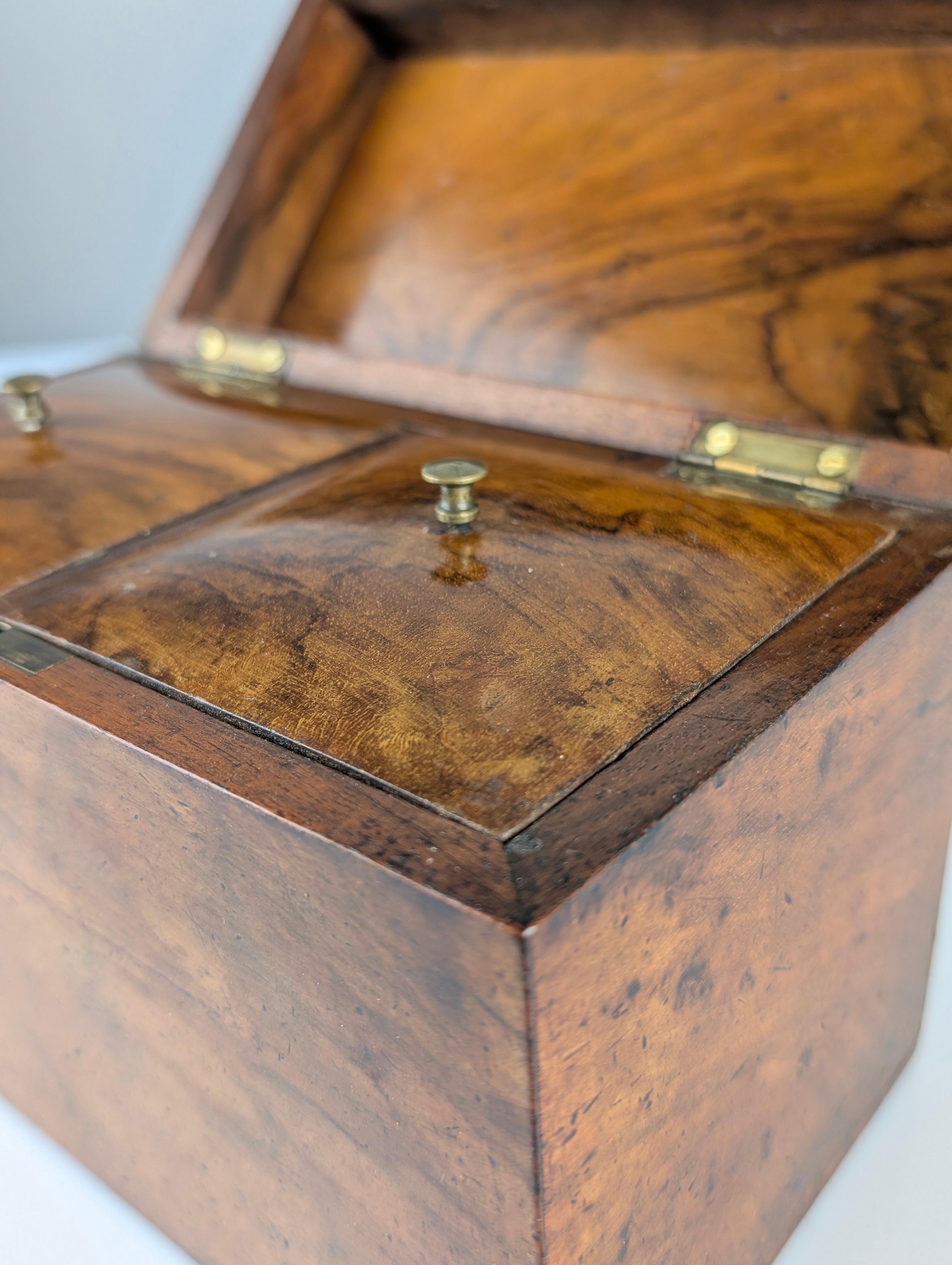 Antique Tea Caddy, 19th Century 1