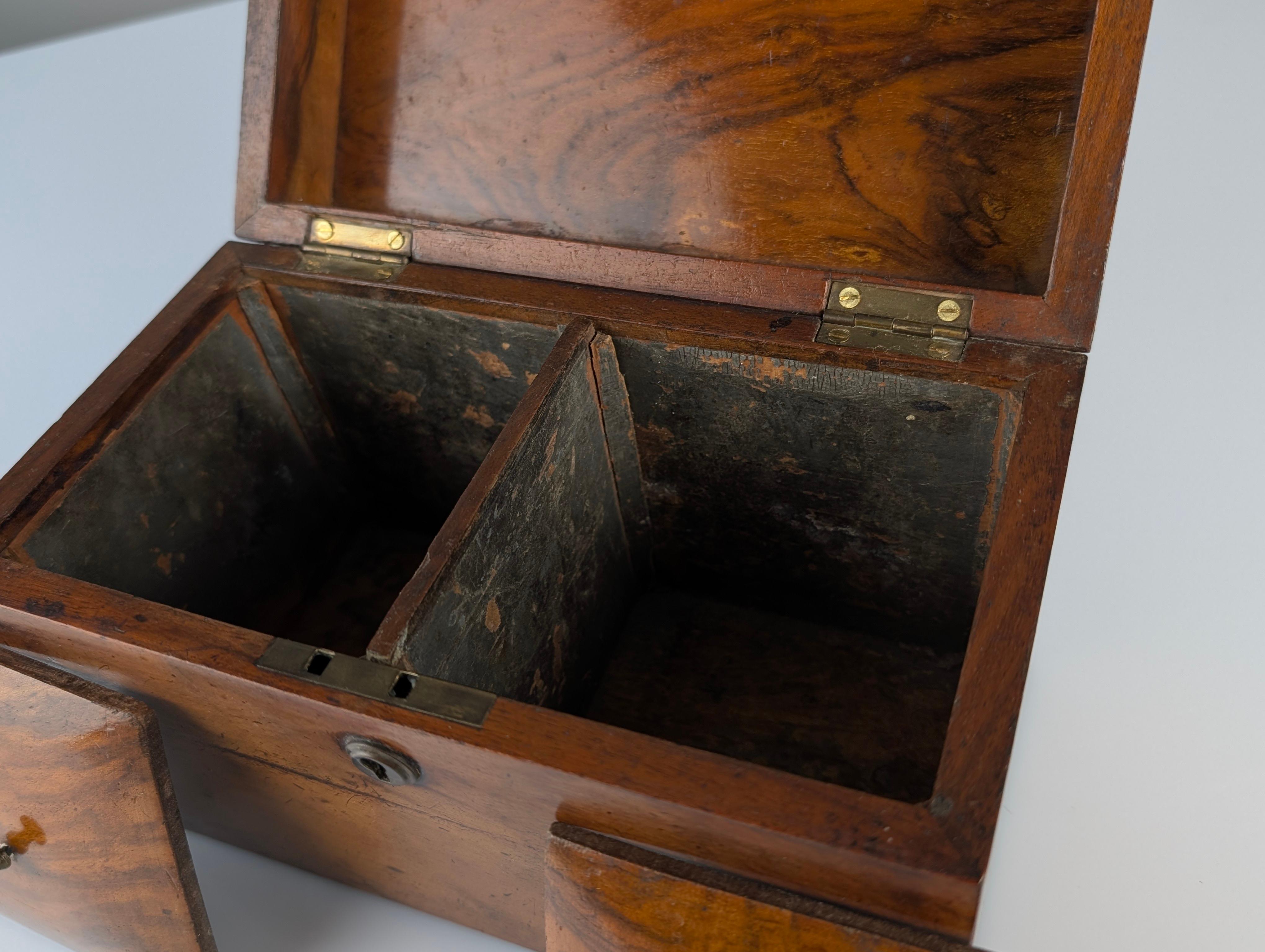 Antique Tea Caddy, 19th Century 2