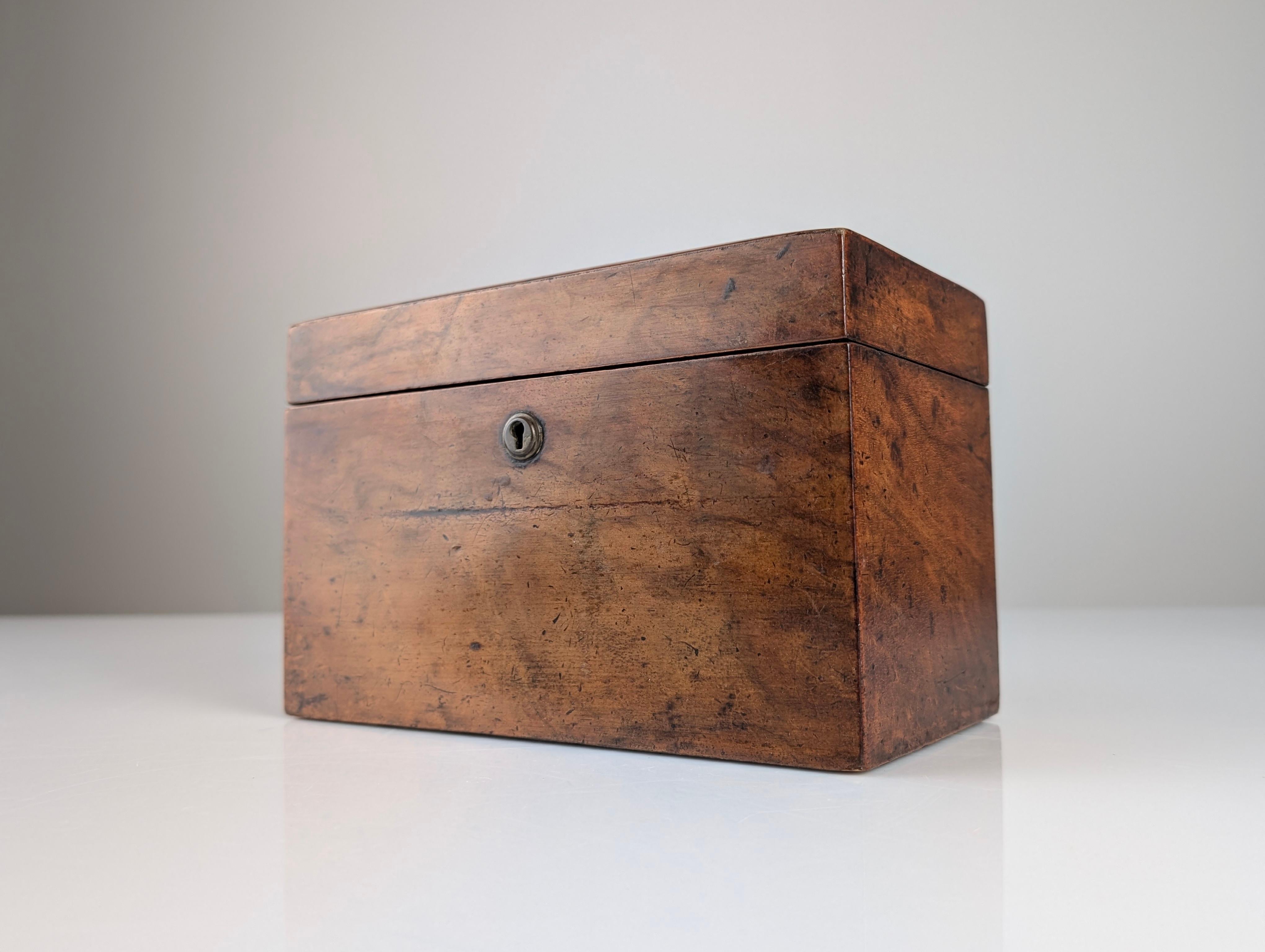 Antique Tea Caddy, 19th Century 3