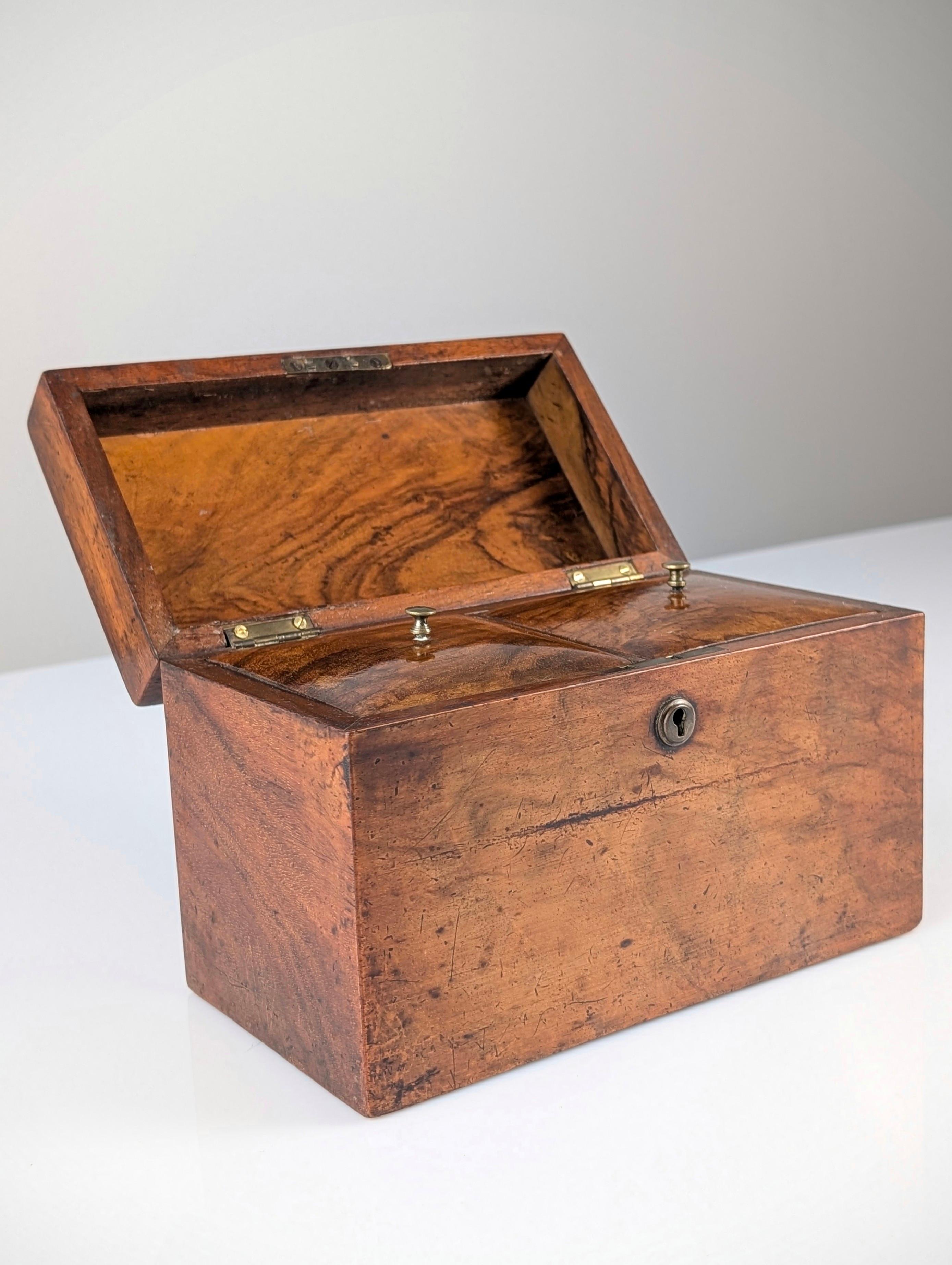 Antique Tea Caddy, 19th Century 4