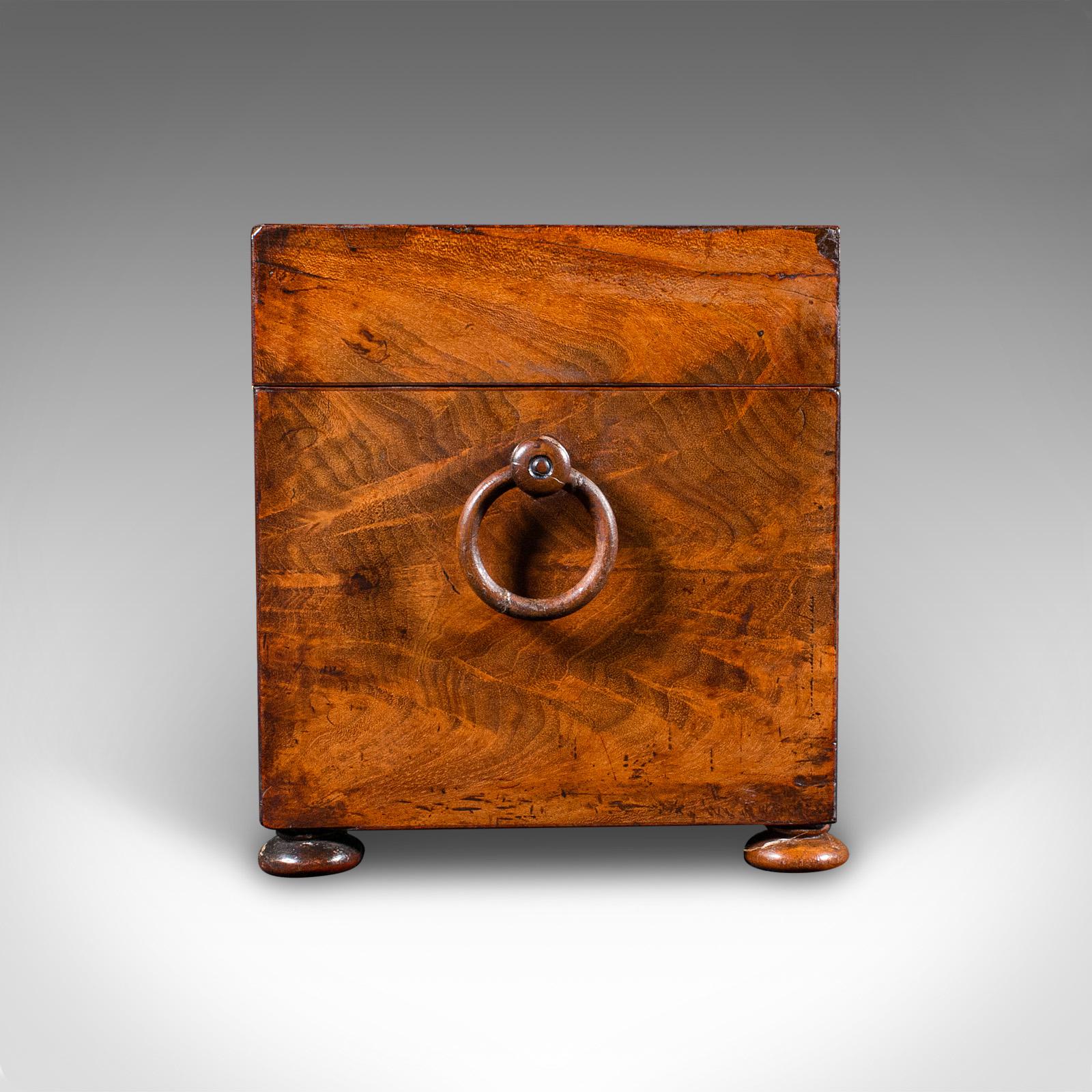 Ancienne boîte à thé anglaise, boîte à feuilles libres, verre mélangé, Régence, vers 1820 Bon état - En vente à Hele, Devon, GB