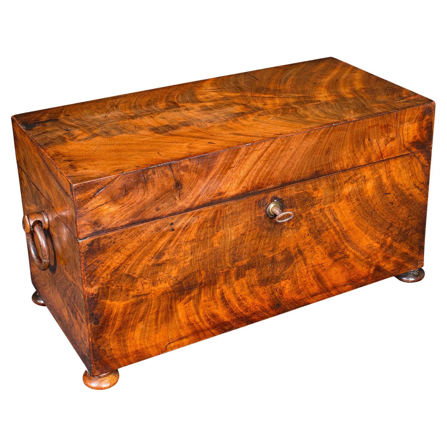 Antique Tea Caddy, English, Loose Leaf Canister, Mixing Glass, Regency, C.1820