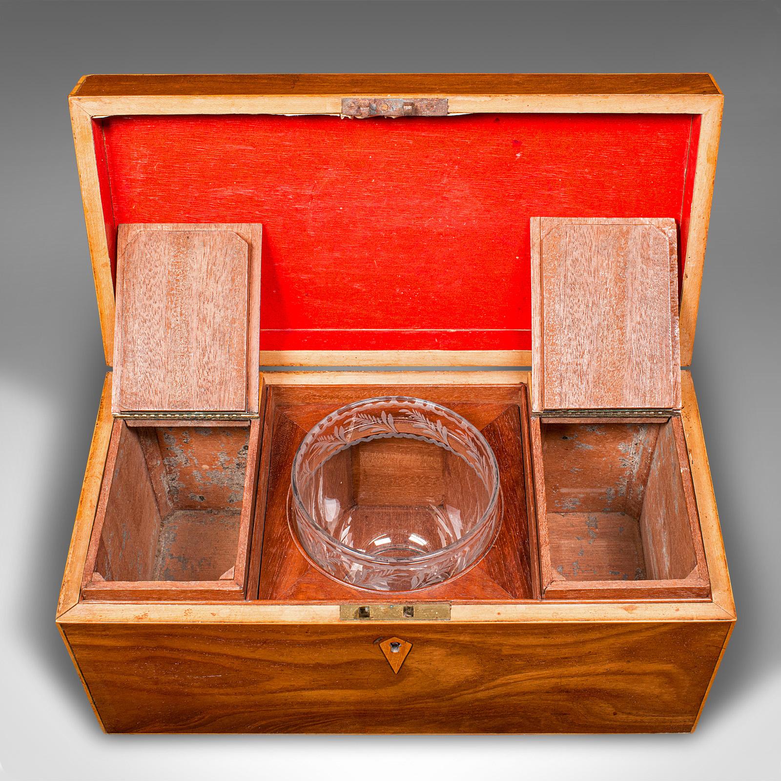 Antico porta tè, inglese, legno di raso, scatola, bicchiere per mescolare, Reggenza, circa 1830 in vendita 1