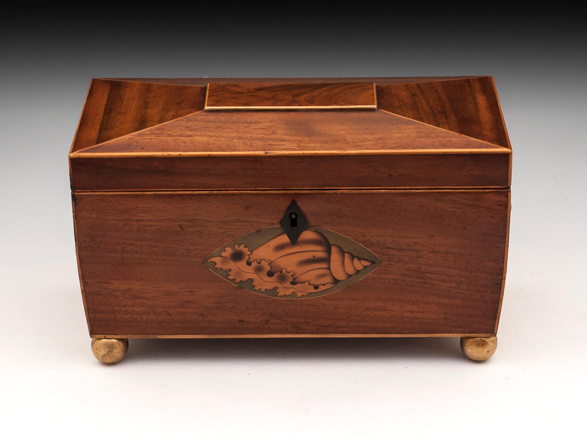 Antique tea caddy with boxwood edging and inlaid conch shell to the front. With double eagle brass handles and brass ball feet.
The interior contains two removable tea caddies and a vacant space for a mixing bowl.
  