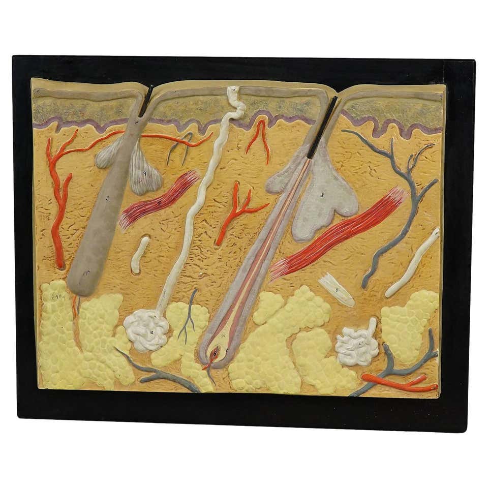 Large Slide Ruler by Pickett for Display or Teaching Aid at 1stDibs ...