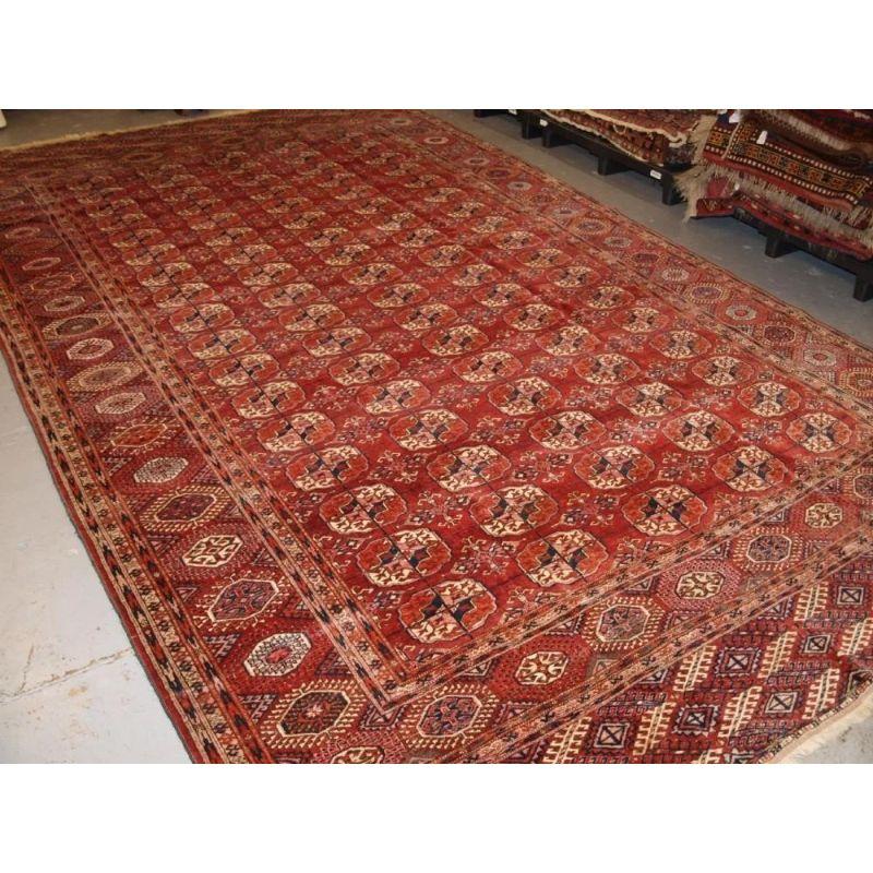 An antique Tekke Turkmen main carpet of large size with 5 rows of 17 guls. The carpet is of a very unusual size, being longer than most that are available. The carpet is of a deep rich red colour with soft pink red to the guls and border. The