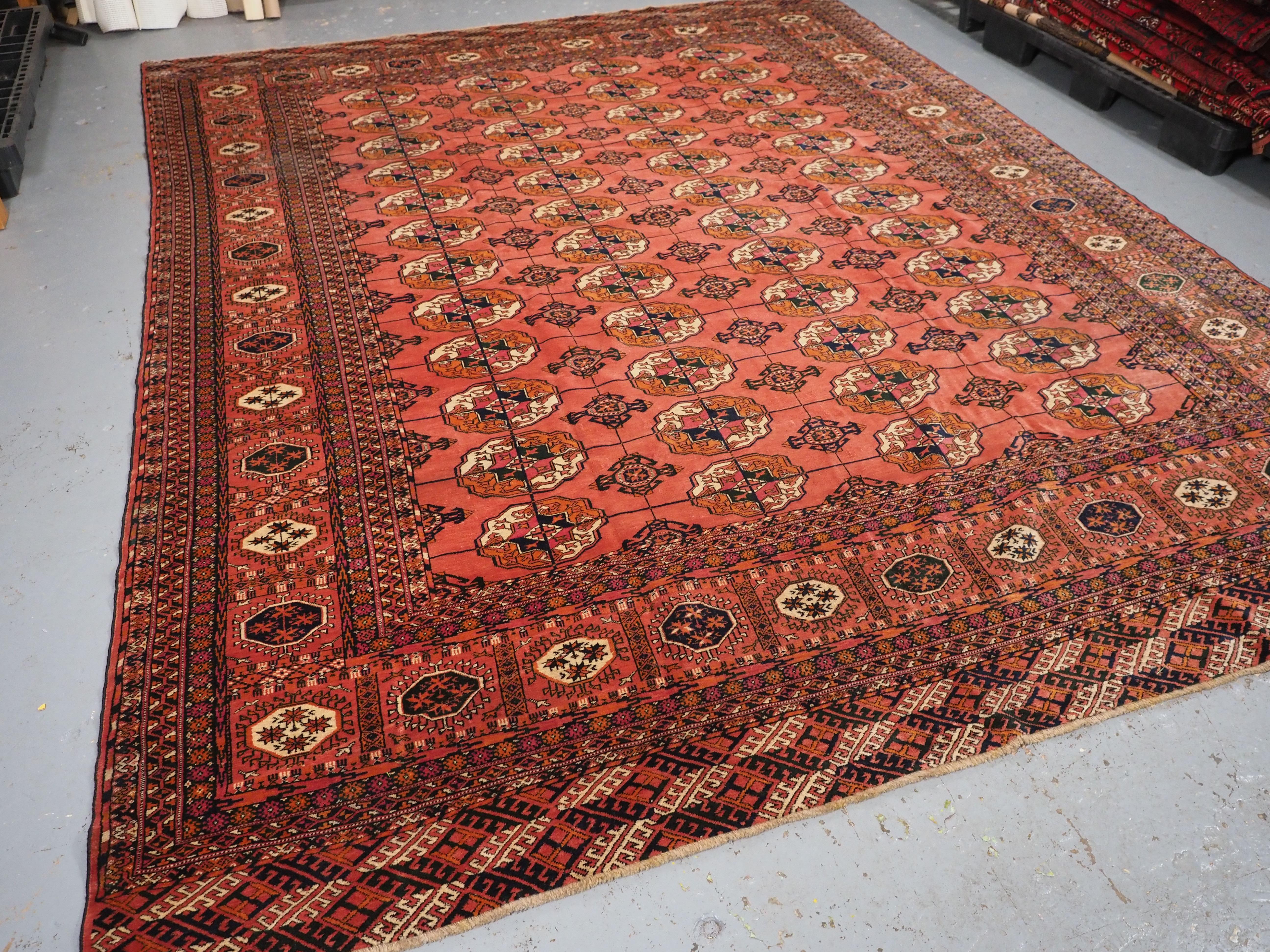 
Size: 10ft 7in x 8ft 4in (322 x 255cm).

Antique Tekke Turkmen main carpet with 4 rows of 12 guls.

Circa 1900.

An interesting Tekke main carpet of room size, the soft pink / red field has well drawn large Tekke guls. The border is of the sunburst