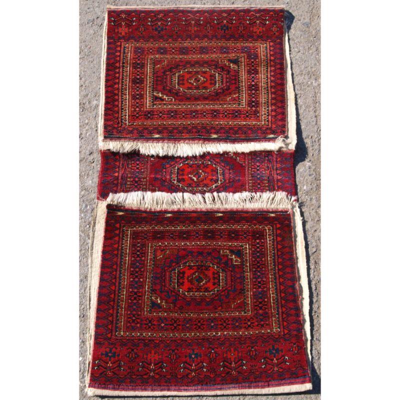 Antique Tekke Turkmen saddle bag (Khorjin) with Salor turreted gul design.

The bags are finely woven and have been opened down the sides for display. Note the piled decorative bad in the middle.

Well drawn with excellent colours.

Slight even wear