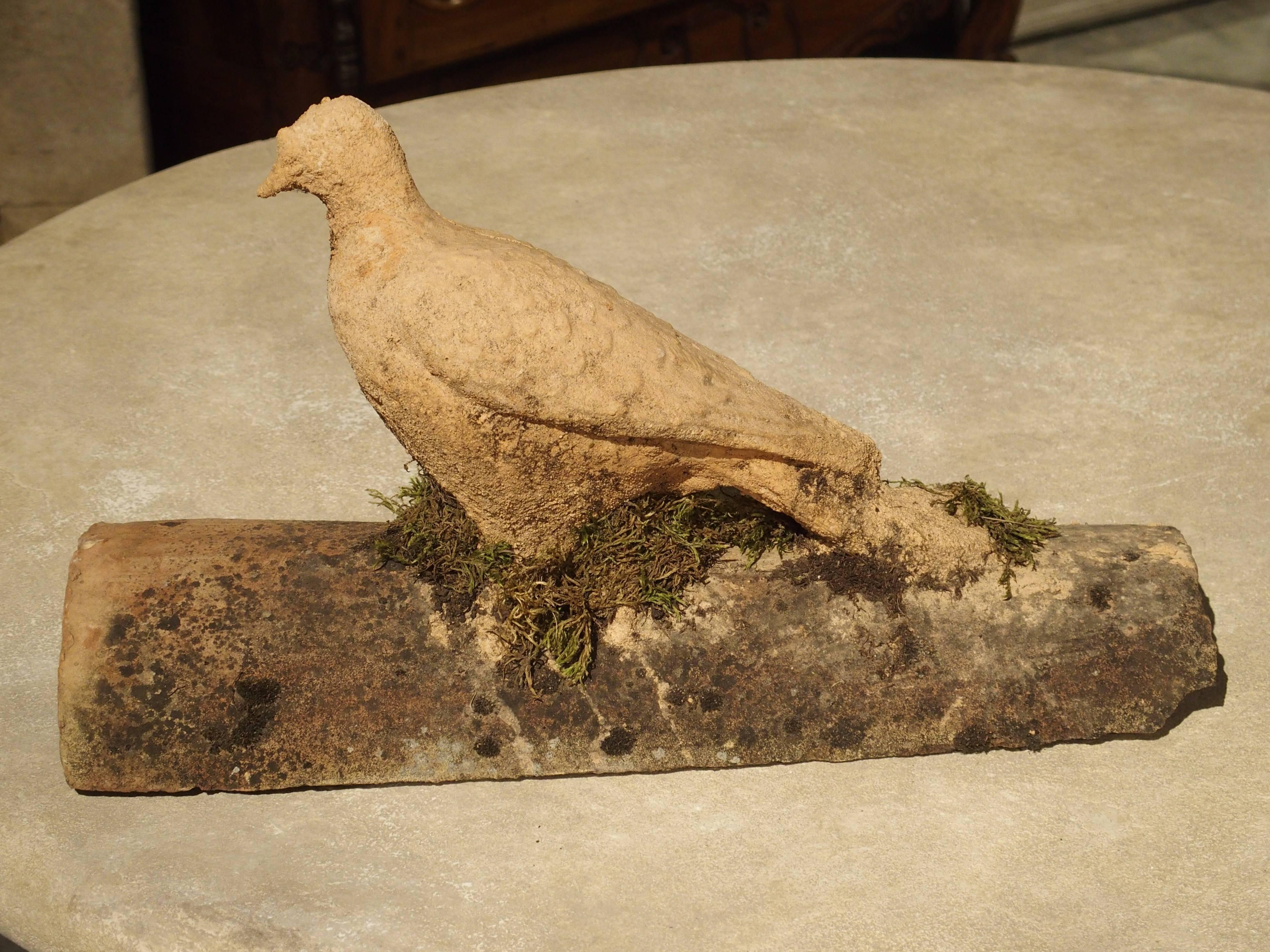 This absolutely charming roof tile was salvaged from a home in the South of France. The curved tile itself is terra cotta, as is the dove. Where the dove is attached, there are portions of green moss. Placed anywhere, inside or out, this dove on an