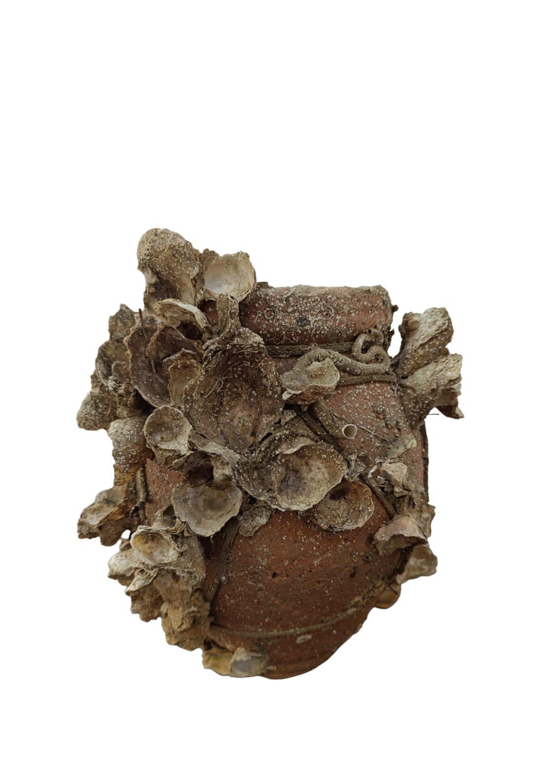 Portuguese Antique Terracota Octopus Pot . Portugal