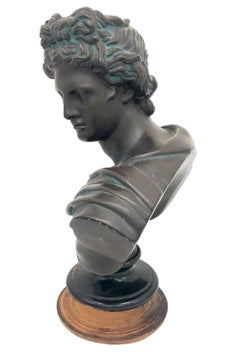Antique Terracotta Bust of the Apollo of Belvedere Greek Revival