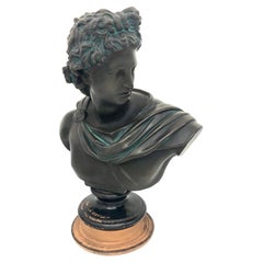 Antique Terracotta Bust of the Apollo of Belvedere Greek Revival