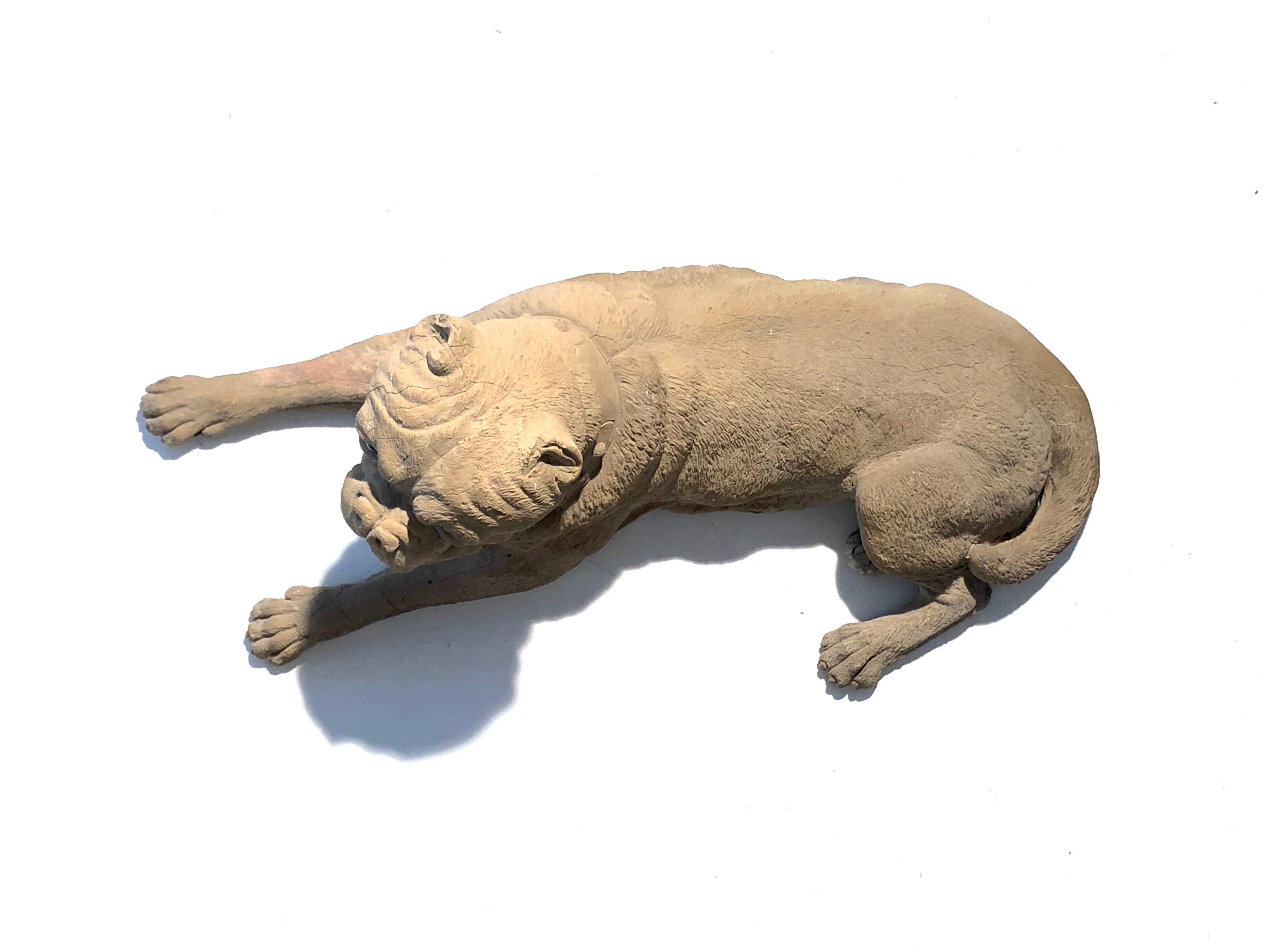 Mid-19th Century Antique Terracotta Dog English Bulldog Animal Sculpture, England