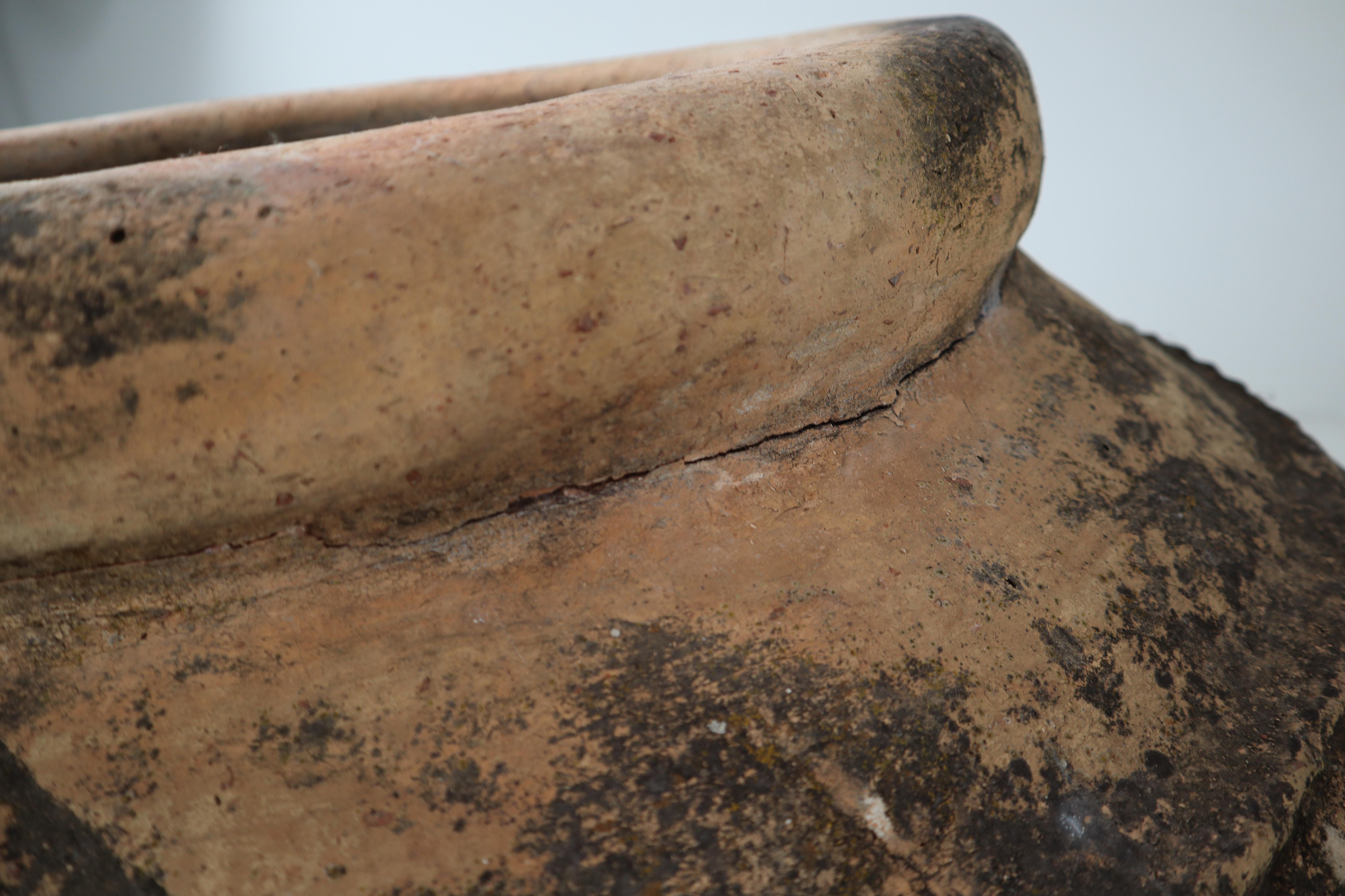 Giant Antique Terracotta Ribbed Olive Jar with Dark Lichen Patination 5