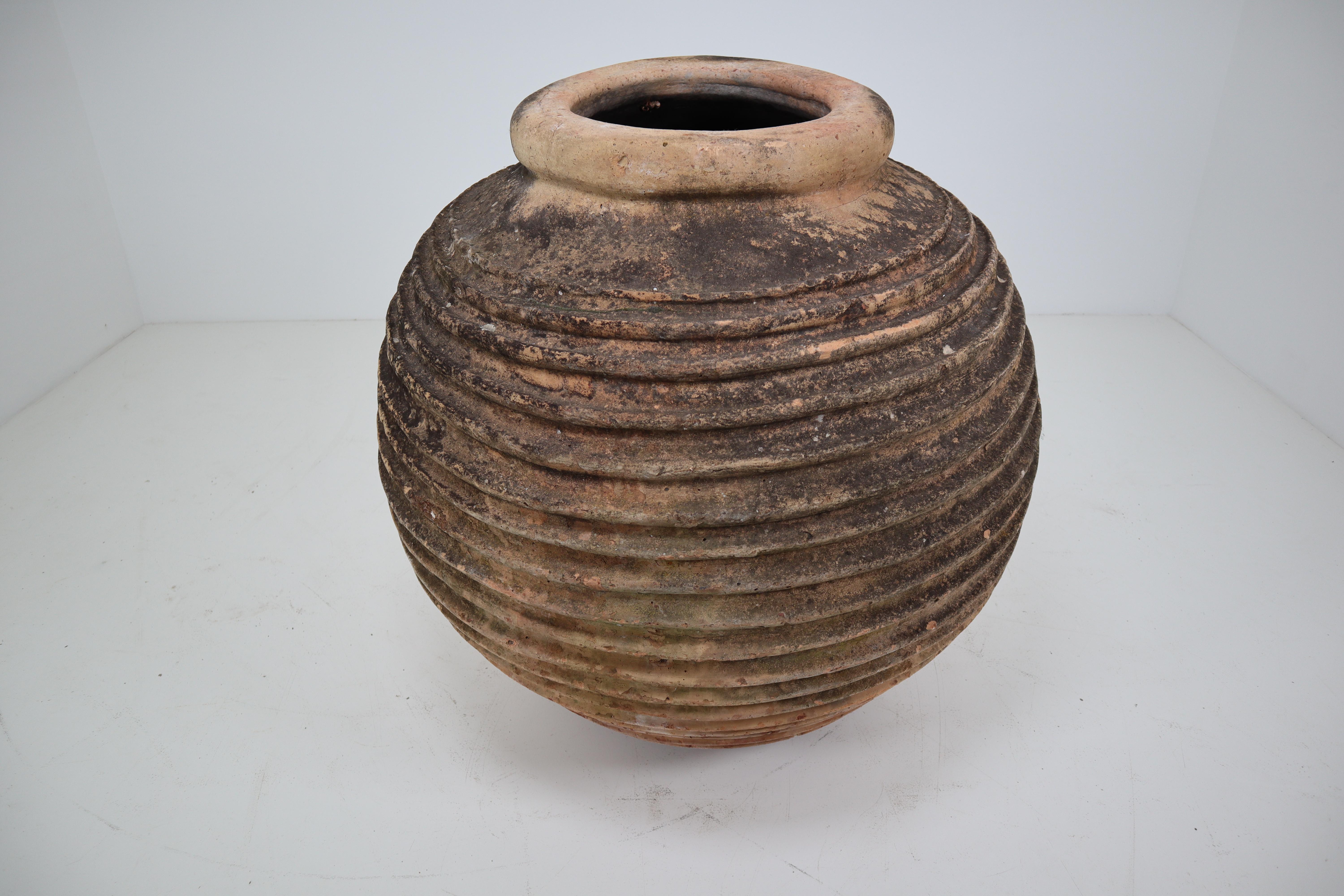 Giant Antique Terracotta Ribbed Olive Jar with Dark Lichen Patination 8
