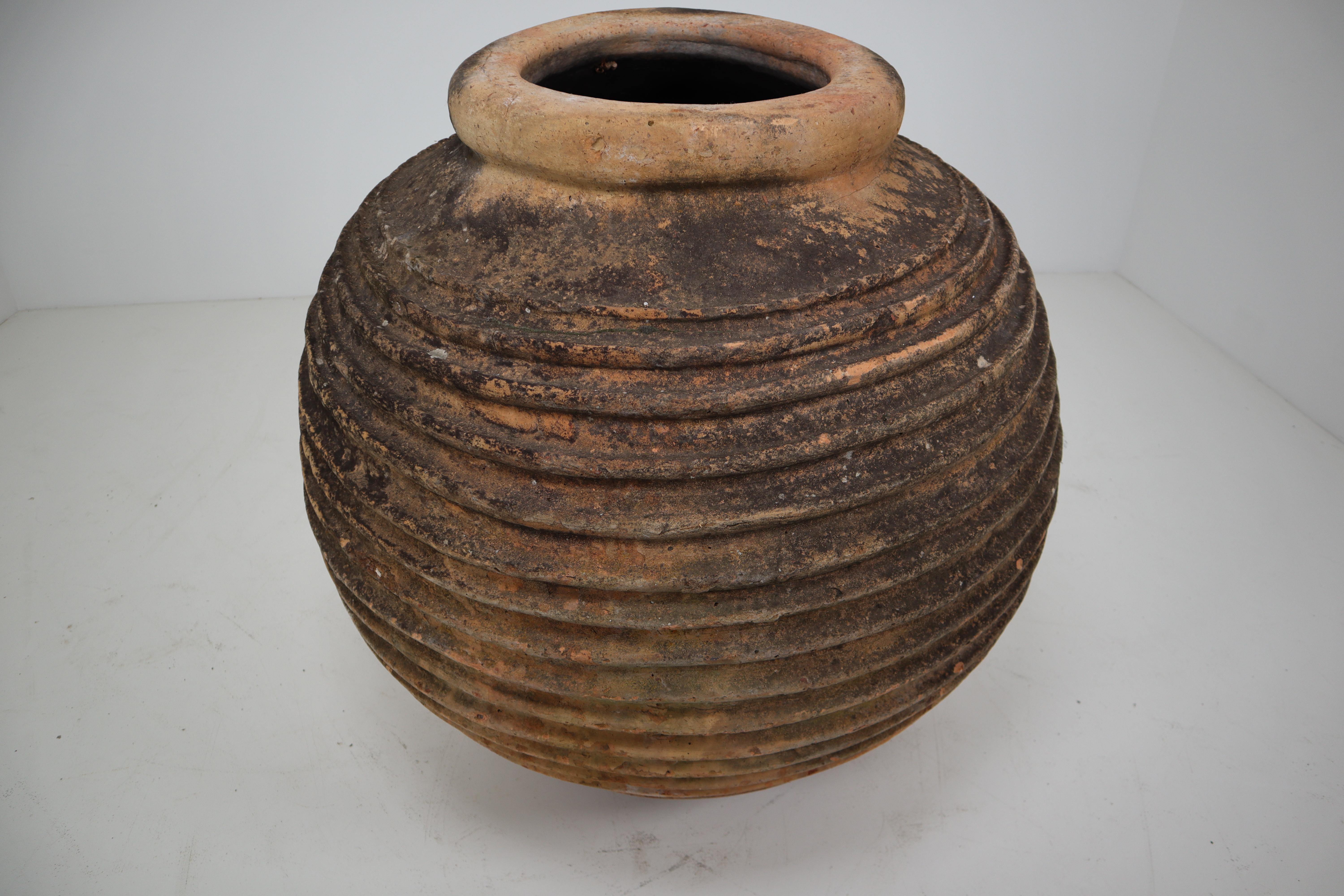 19th Century Giant Antique Terracotta Ribbed Olive Jar with Dark Lichen Patination