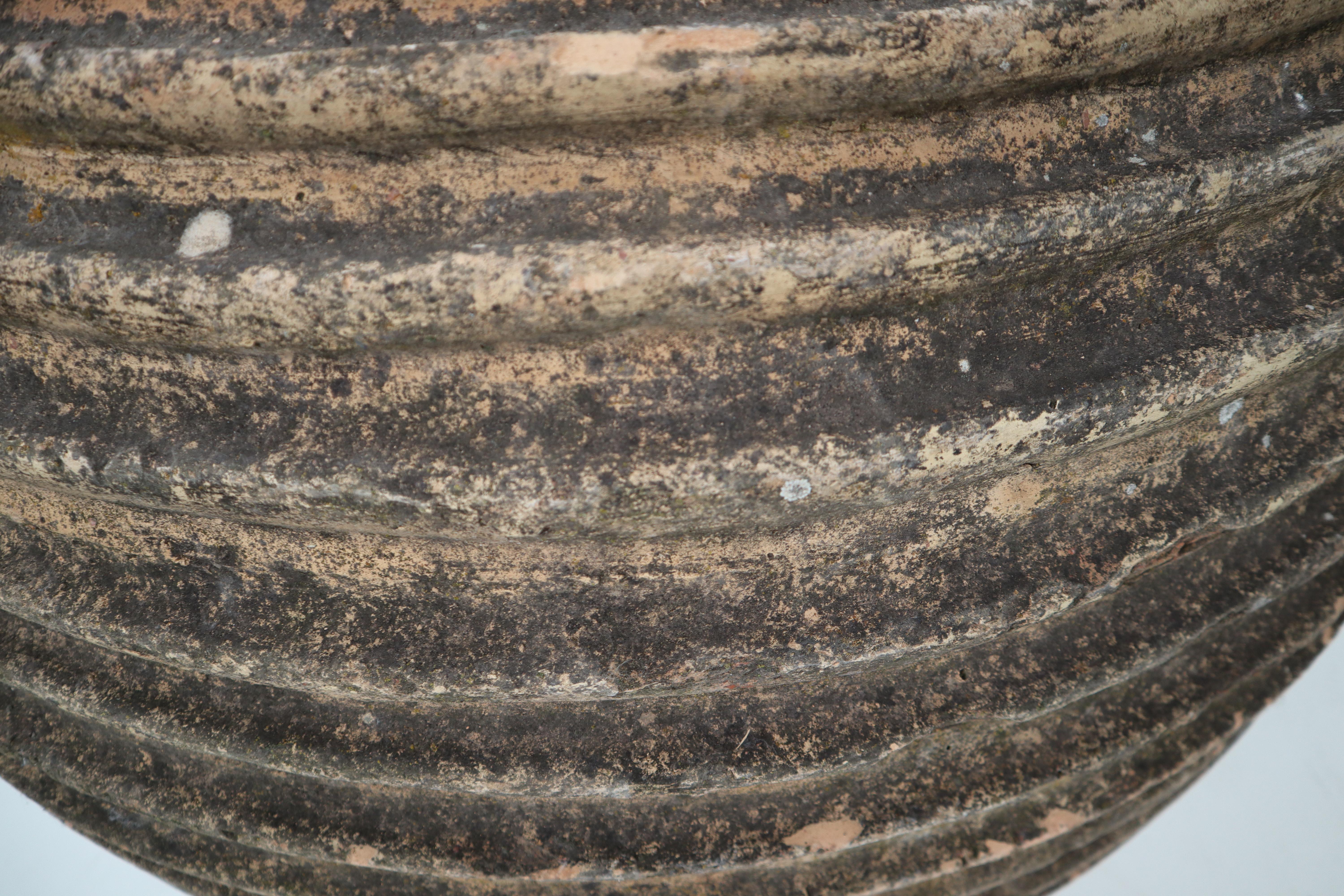 Giant Antique Terracotta Ribbed Olive Jar with Dark Lichen Patination 2