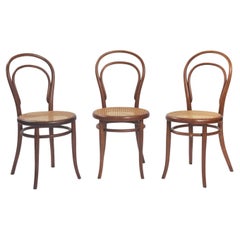 antique Thonet bistro chairs no 14 118 webbing bentwood, 1880, set of 3