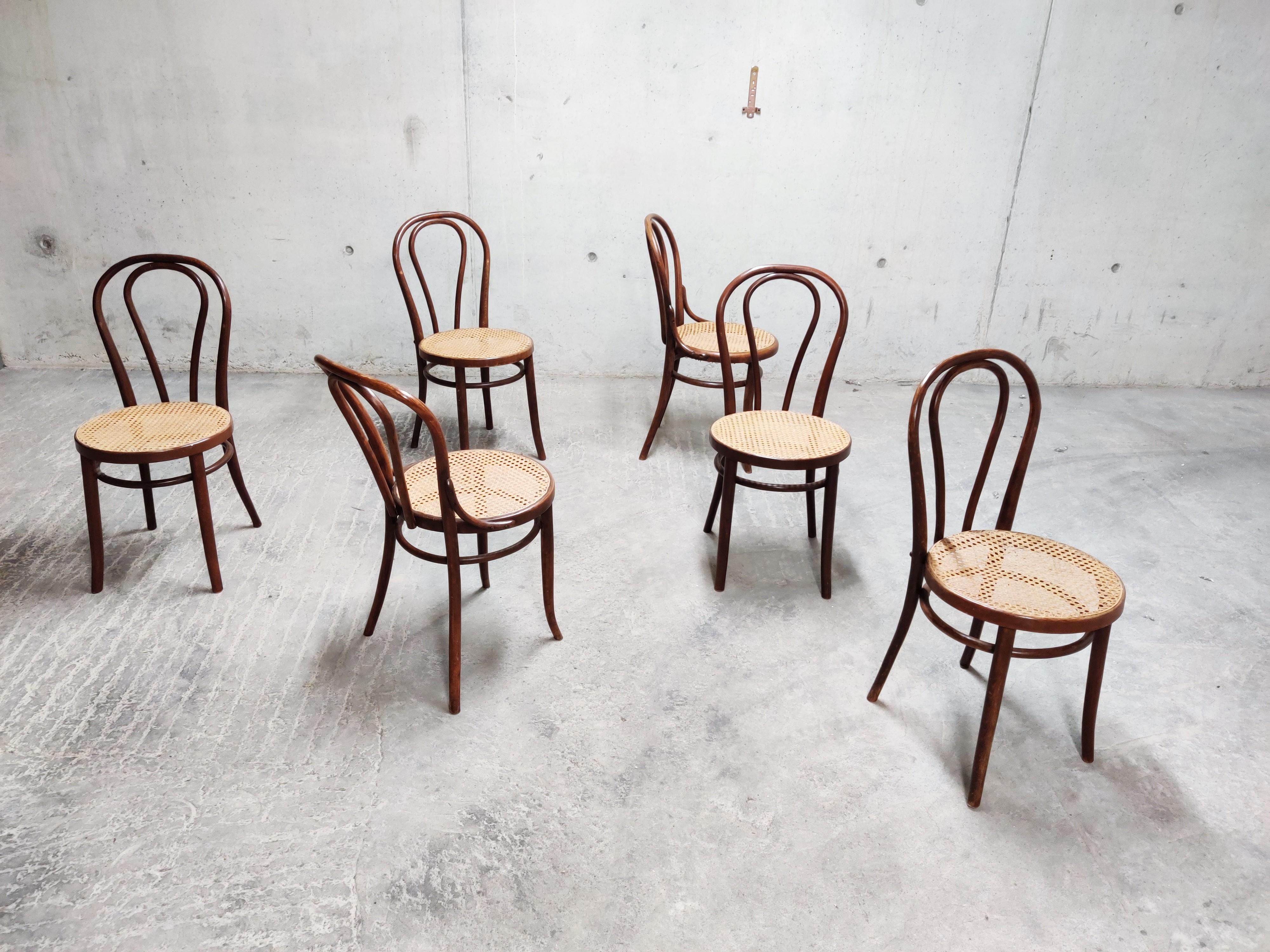 Swiss Antique Thonet Dining Chairs, Set of 6