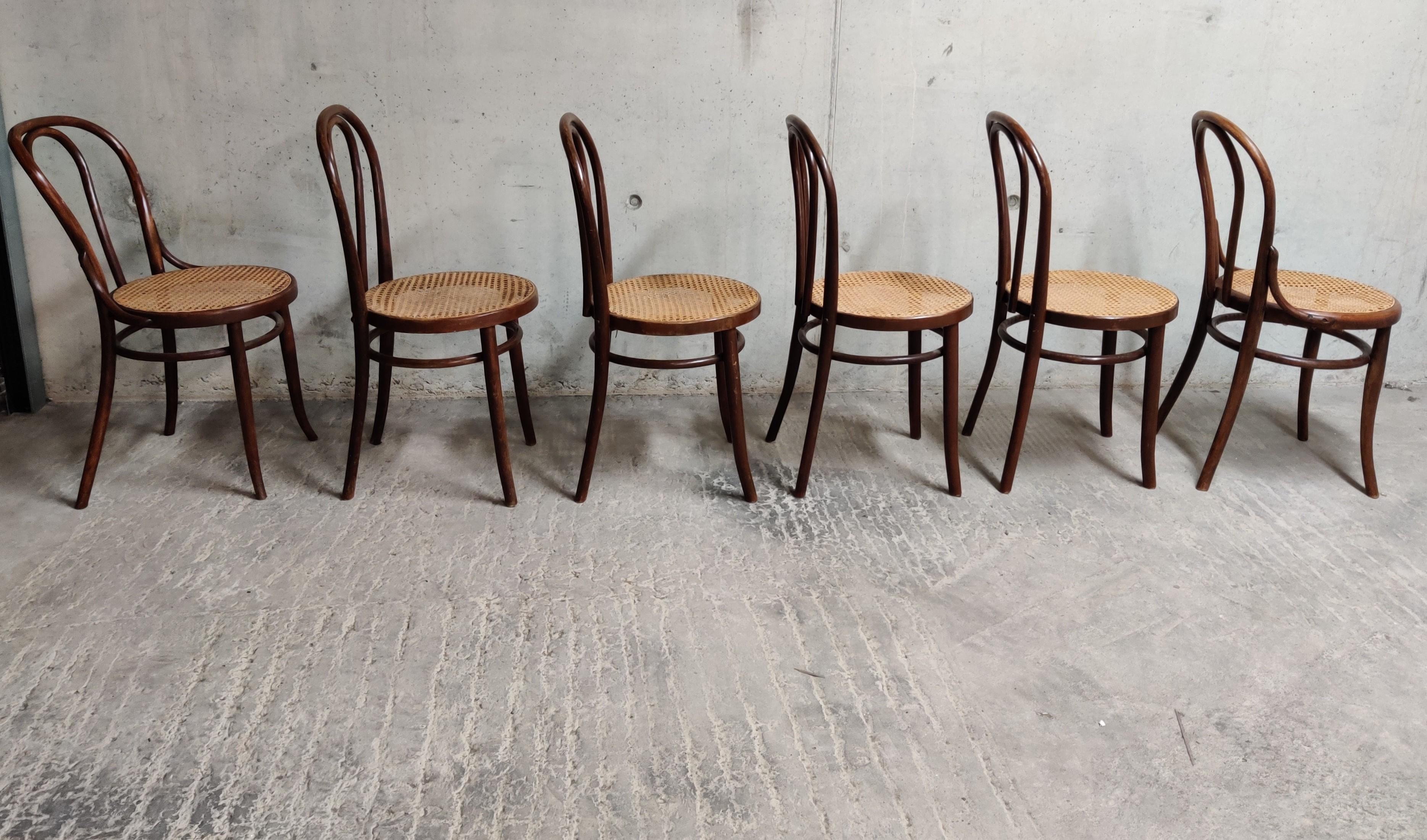 Antique Thonet Dining Chairs, Set of 6 In Good Condition In HEVERLEE, BE
