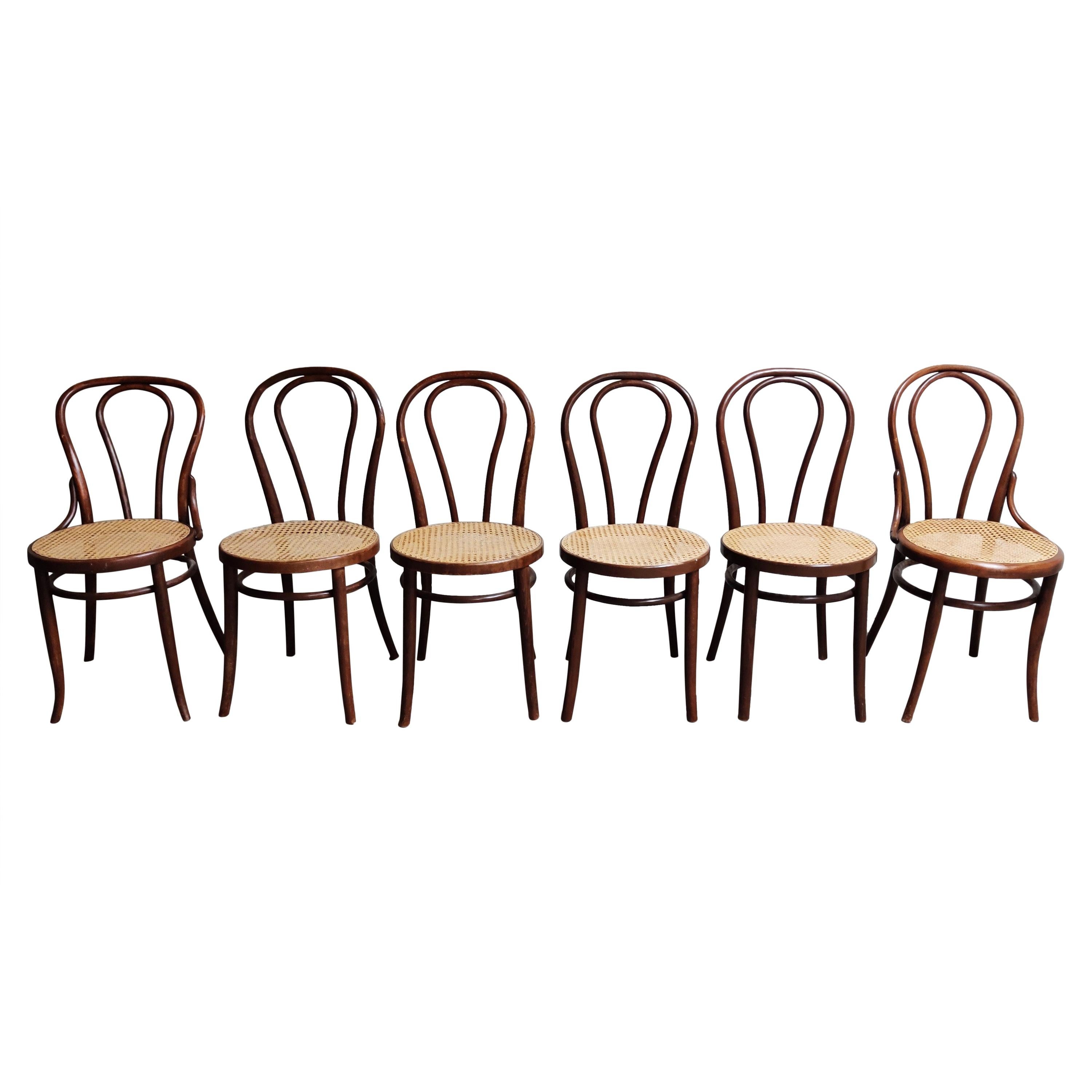 Antique Thonet Dining Chairs, Set of 6