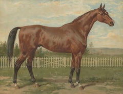 Antique Thoroughbred Horse Portrait, Pur Sang Equestrian Lithograph, ca.1898
