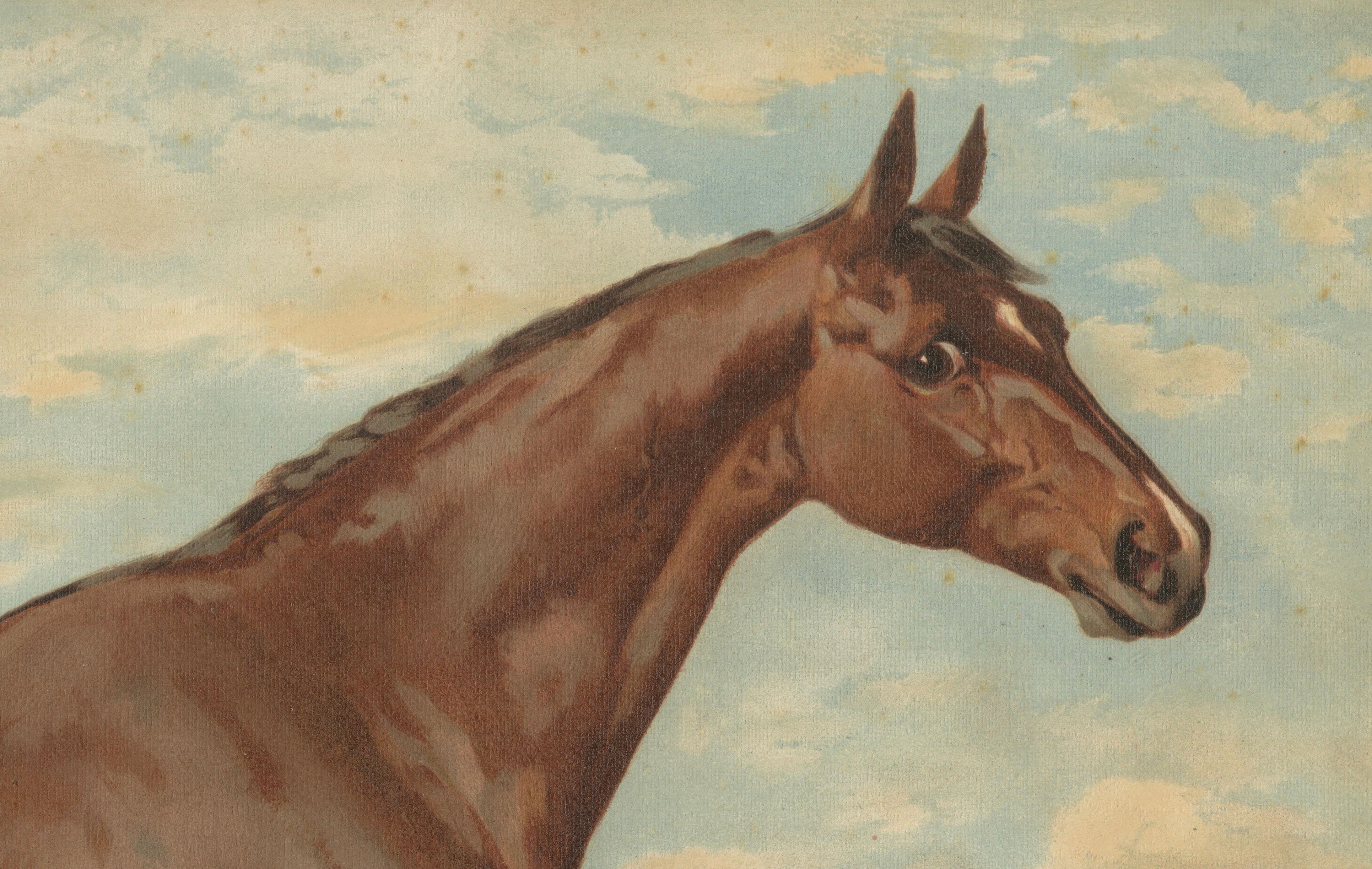 Antique Thoroughbred Horse Portrait, Pur Sang Equestrian Lithograph, ca.1898