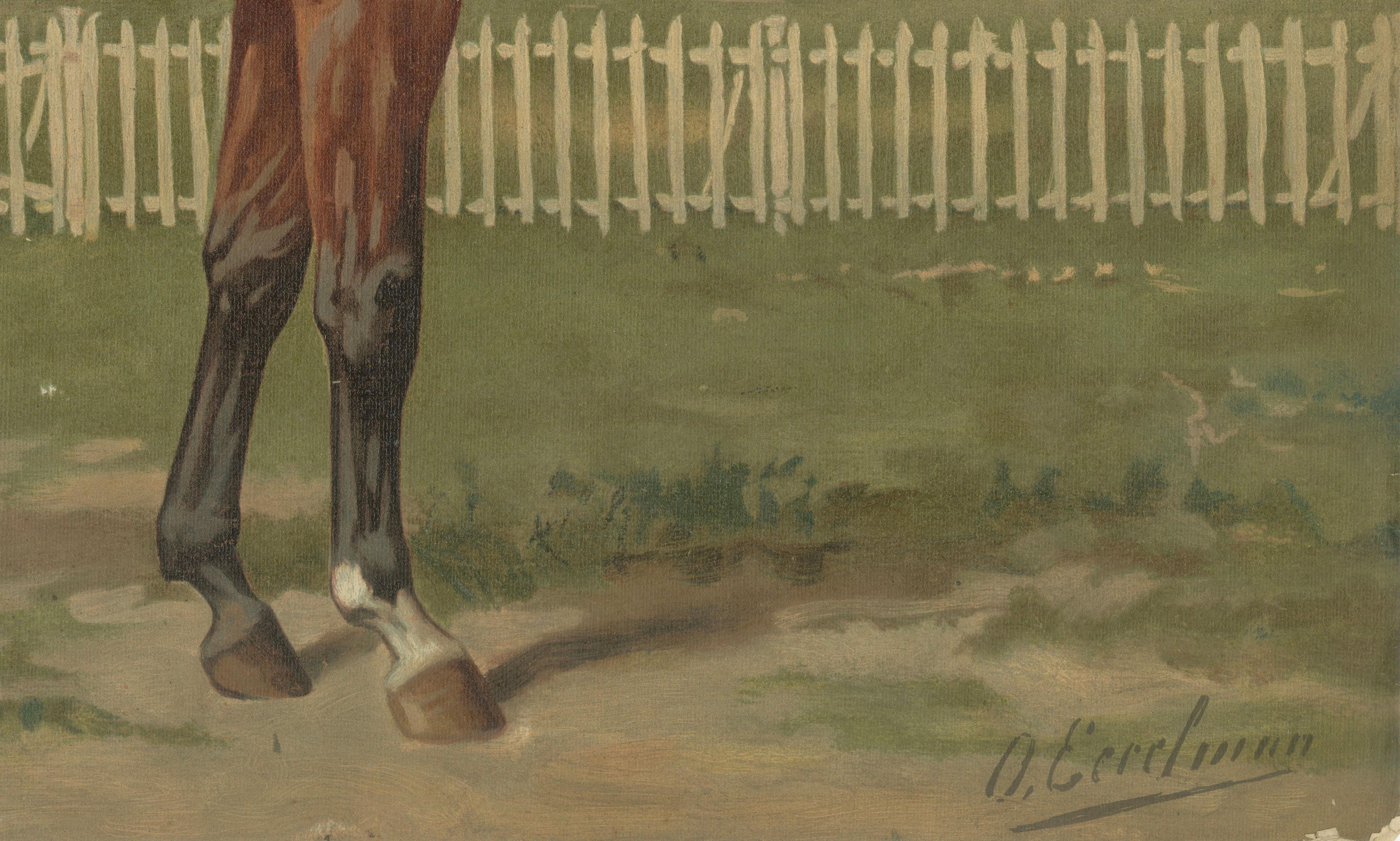 Antique Thoroughbred Horse Portrait, Pur Sang Equestrian Lithograph, ca.1898