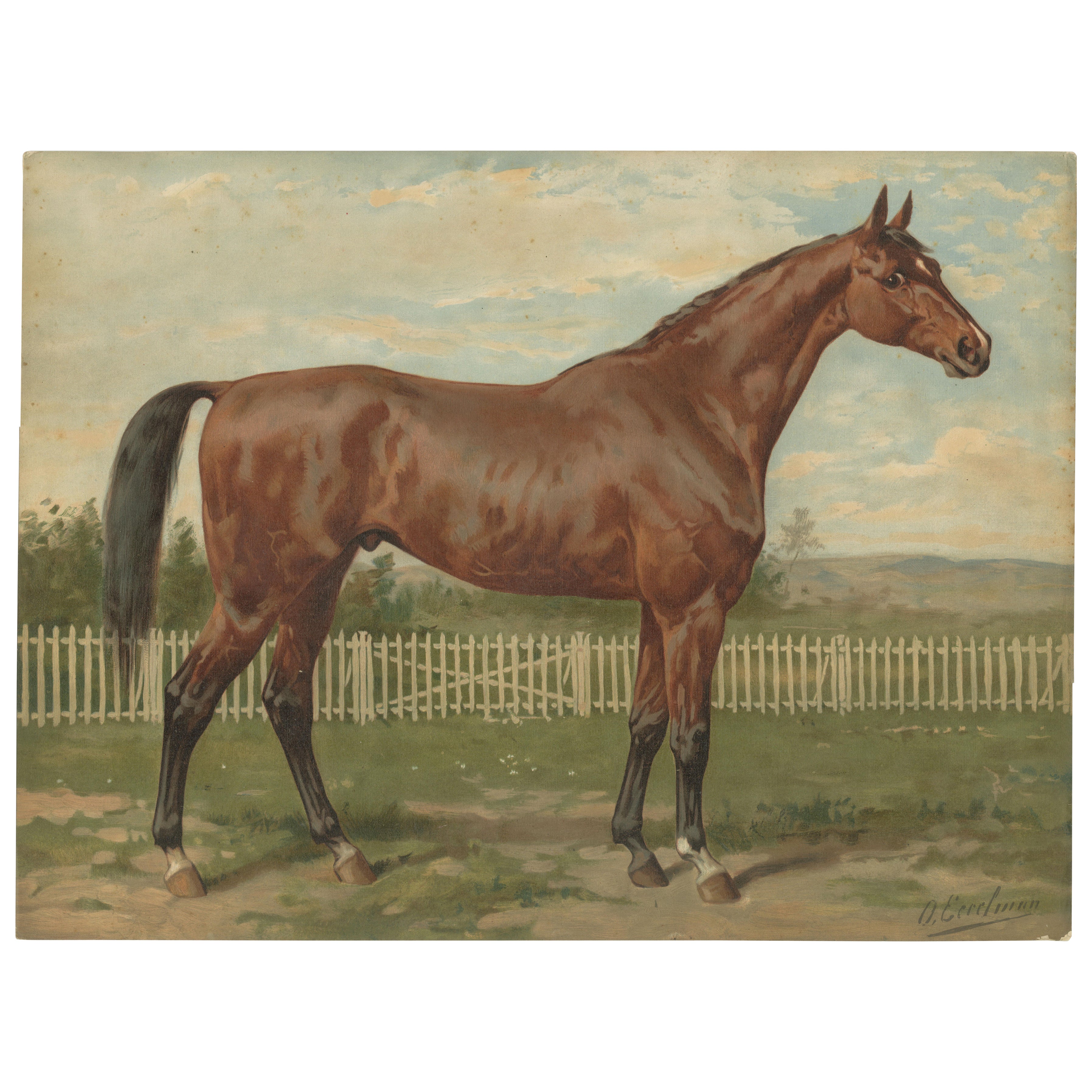 Antique Thoroughbred Horse Portrait, Pur Sang Equestrian Lithograph, ca.1898