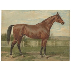 Antique Thoroughbred Horse Portrait, Pur Sang Equestrian Lithograph, ca.1898