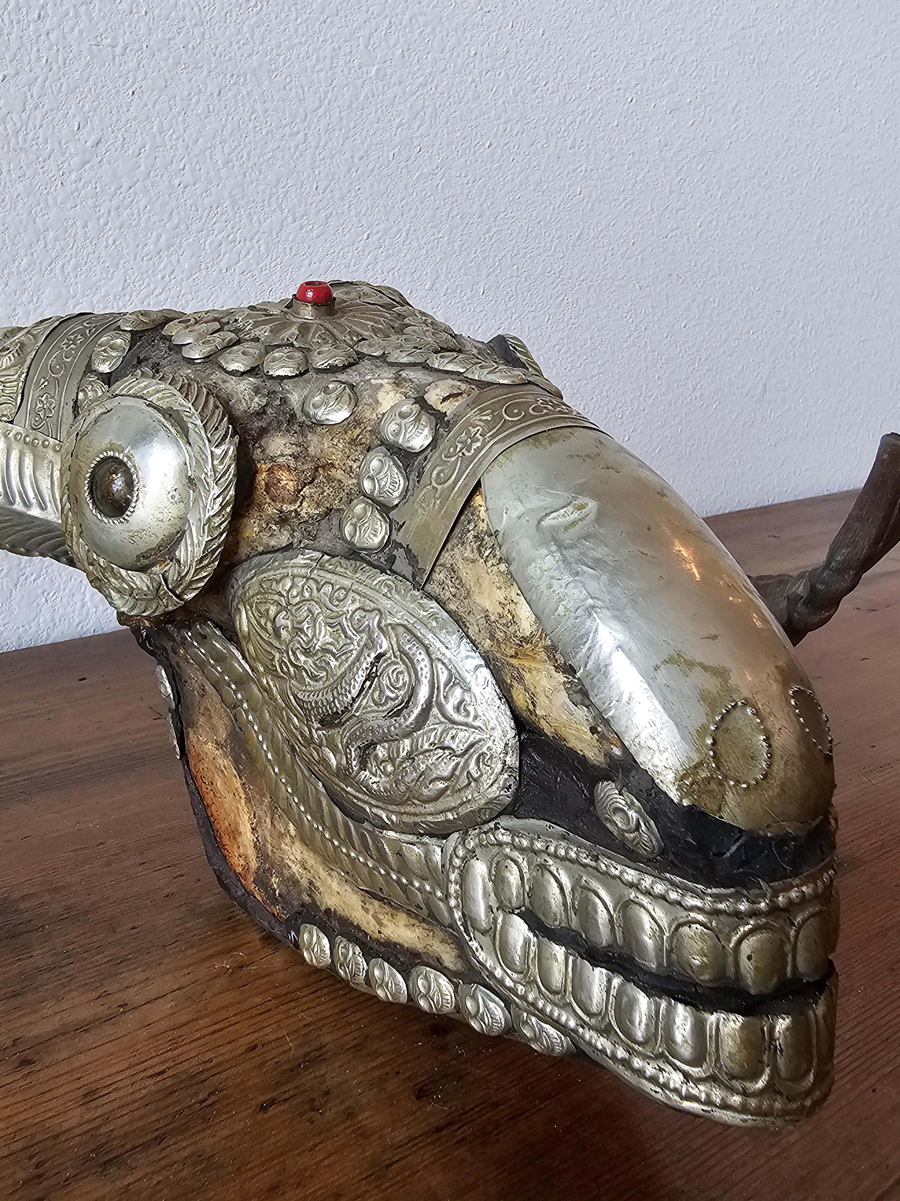 Antique Tibetan Buddhist Ritual Silver Mounted Horned Sheep Skull Kapala For Sale 11