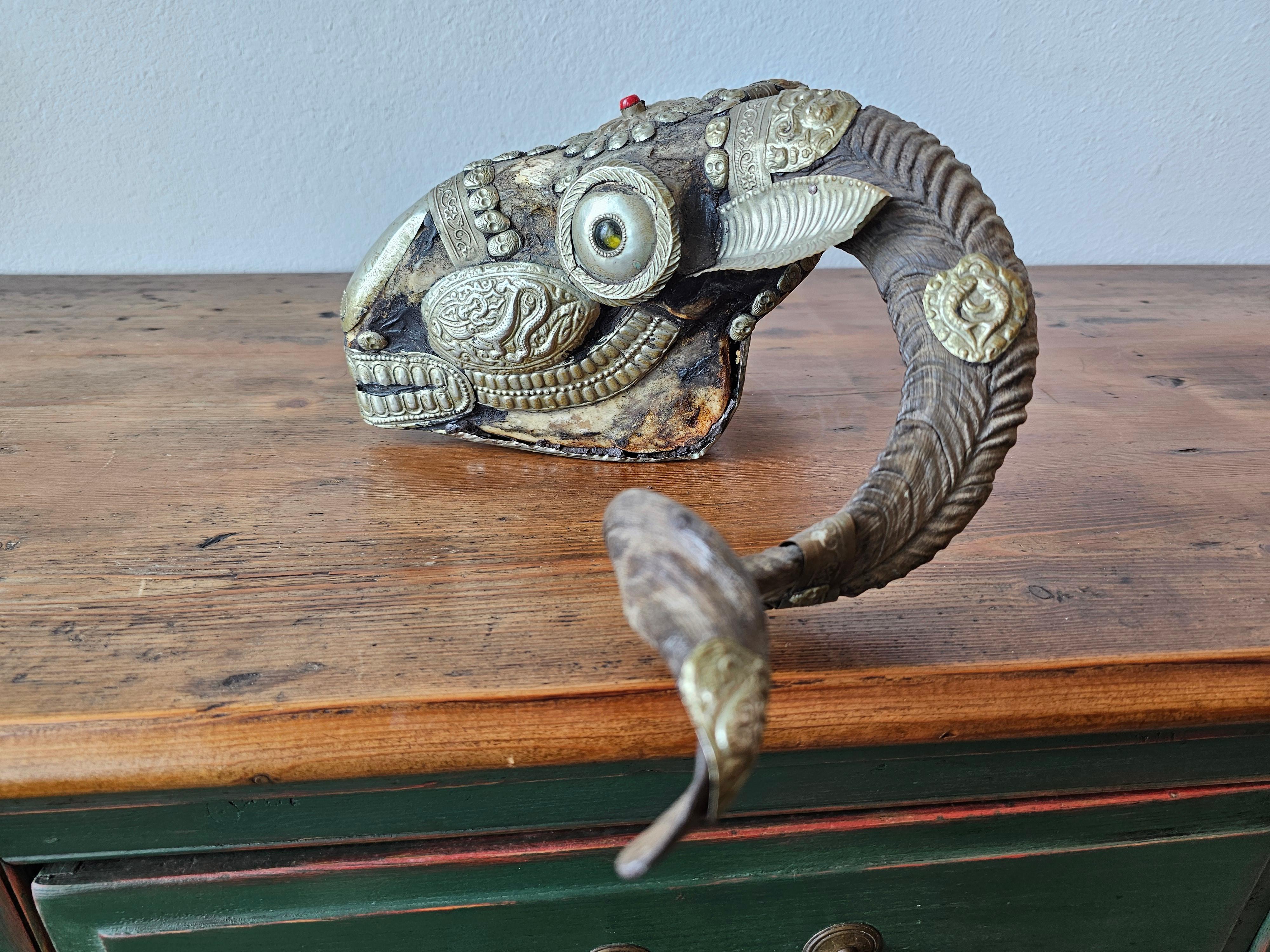 Embossed Antique Tibetan Buddhist Ritual Silver Mounted Horned Sheep Skull Kapala For Sale