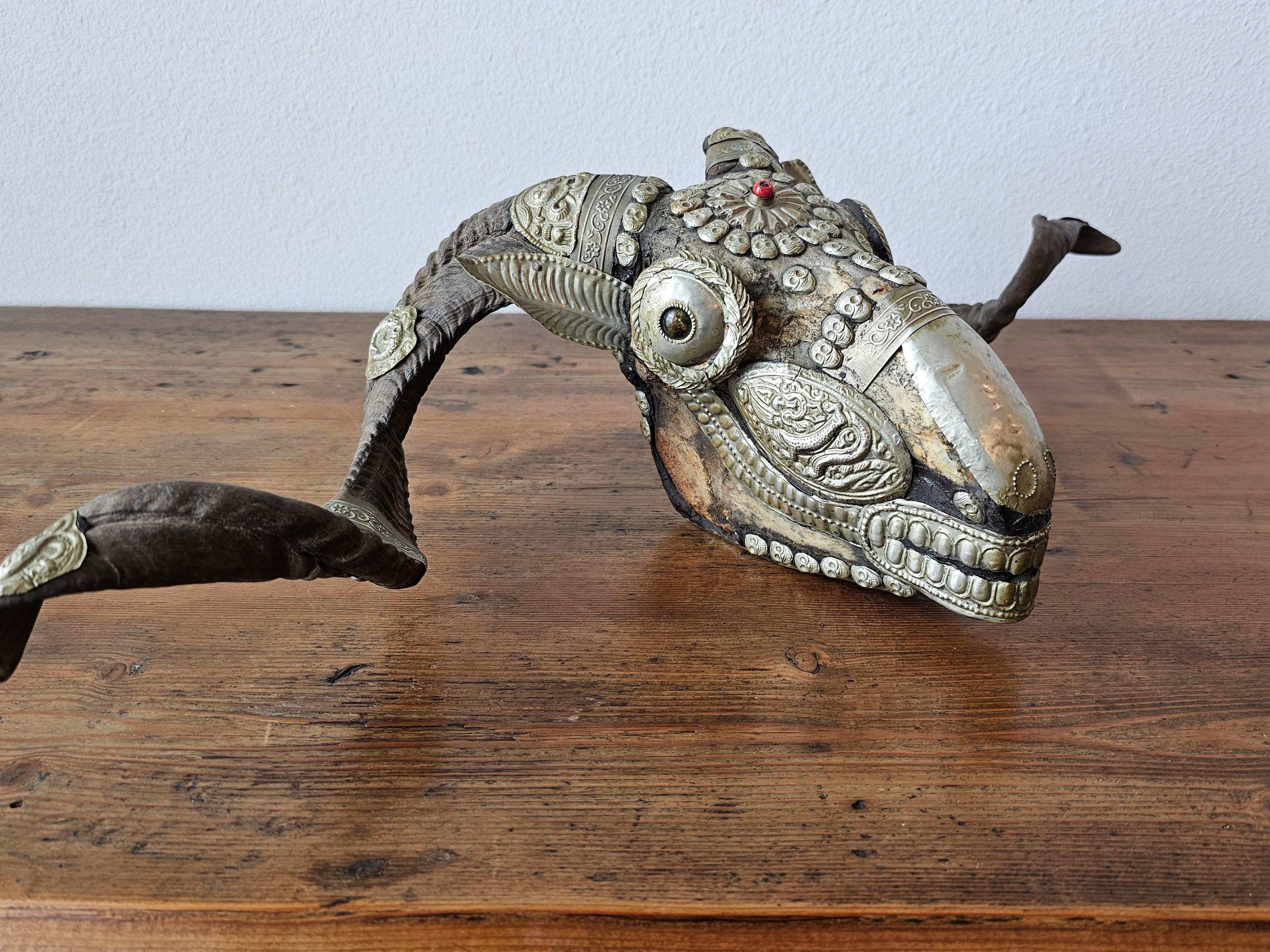 Antique Tibetan Buddhist Ritual Silver Mounted Horned Sheep Skull Kapala In Good Condition For Sale In Forney, TX