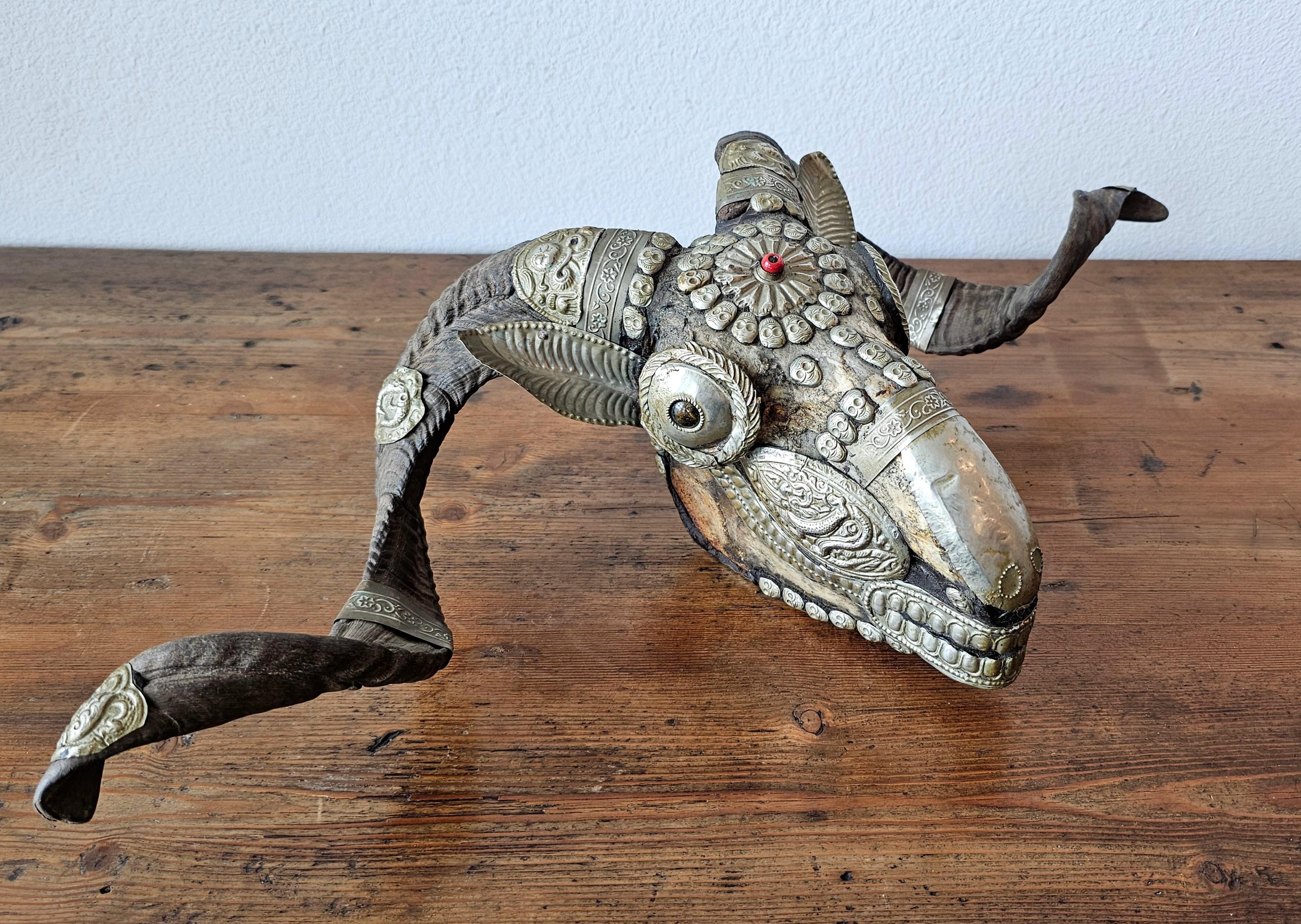19th Century Antique Tibetan Buddhist Ritual Silver Mounted Horned Sheep Skull Kapala For Sale