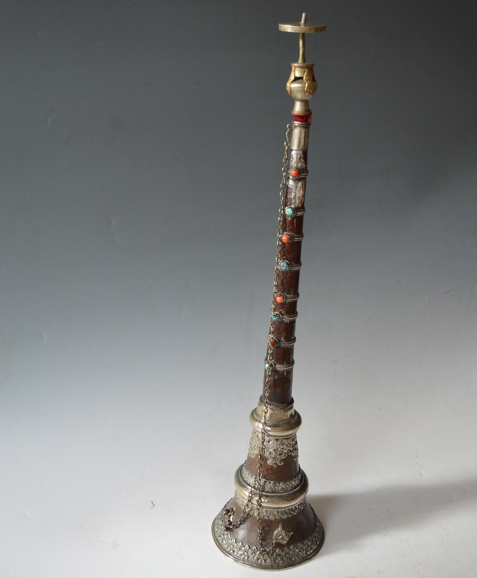 asian trumpet