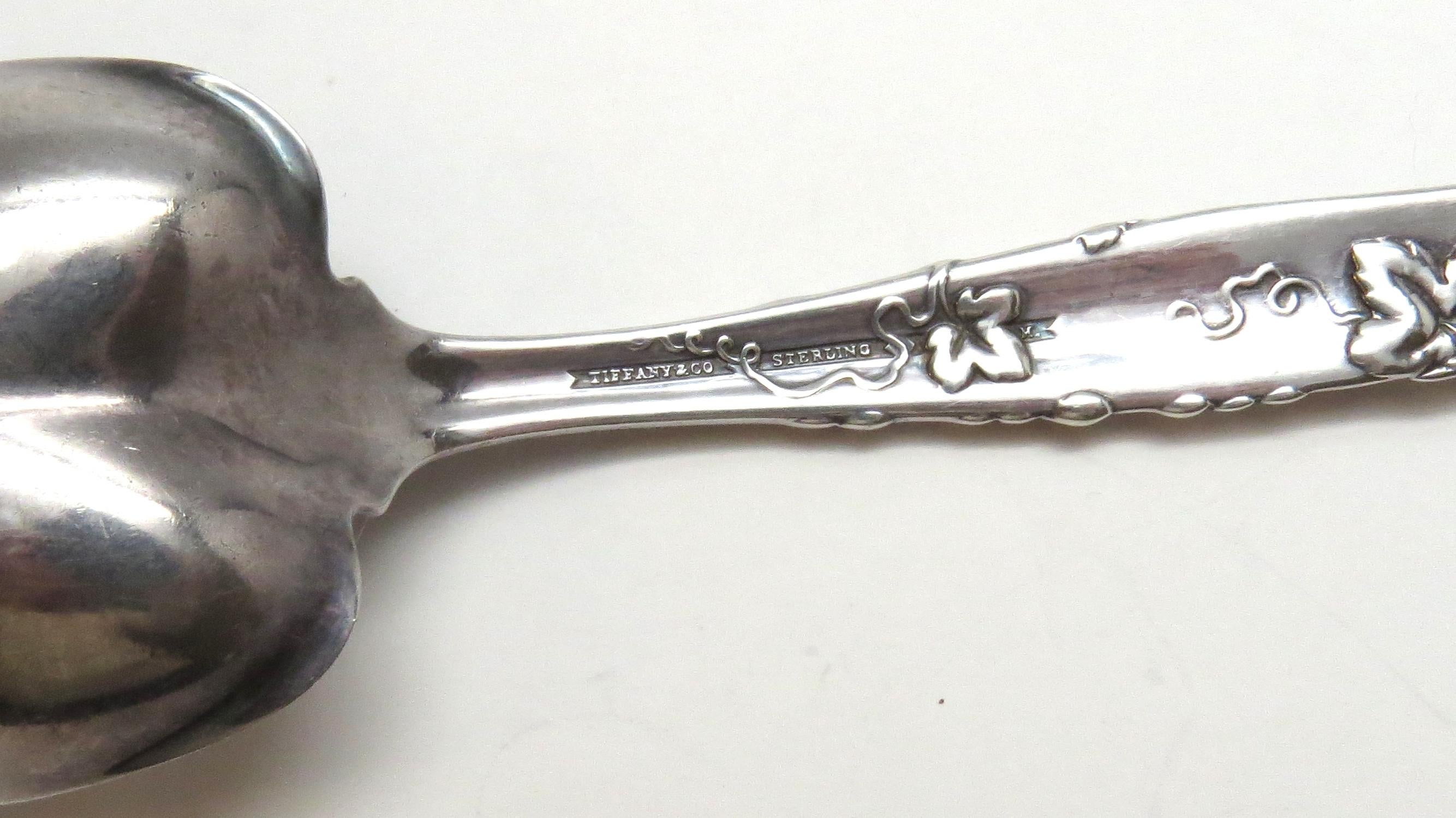 Antique Tiffany & Co. Vine Sterling Silver Berry 1872 Preserve Spoon 2