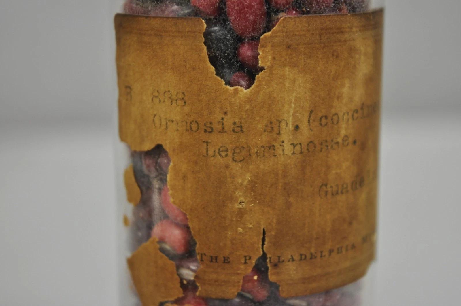 Pots à confiserie anciens en verre Dakota de Tiffin du Philadelphia Museum en vente 4