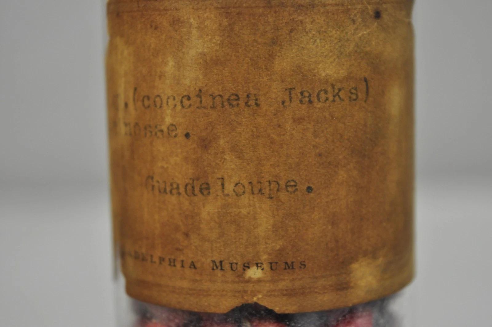 Pots à confiserie anciens en verre Dakota de Tiffin du Philadelphia Museum en vente 5