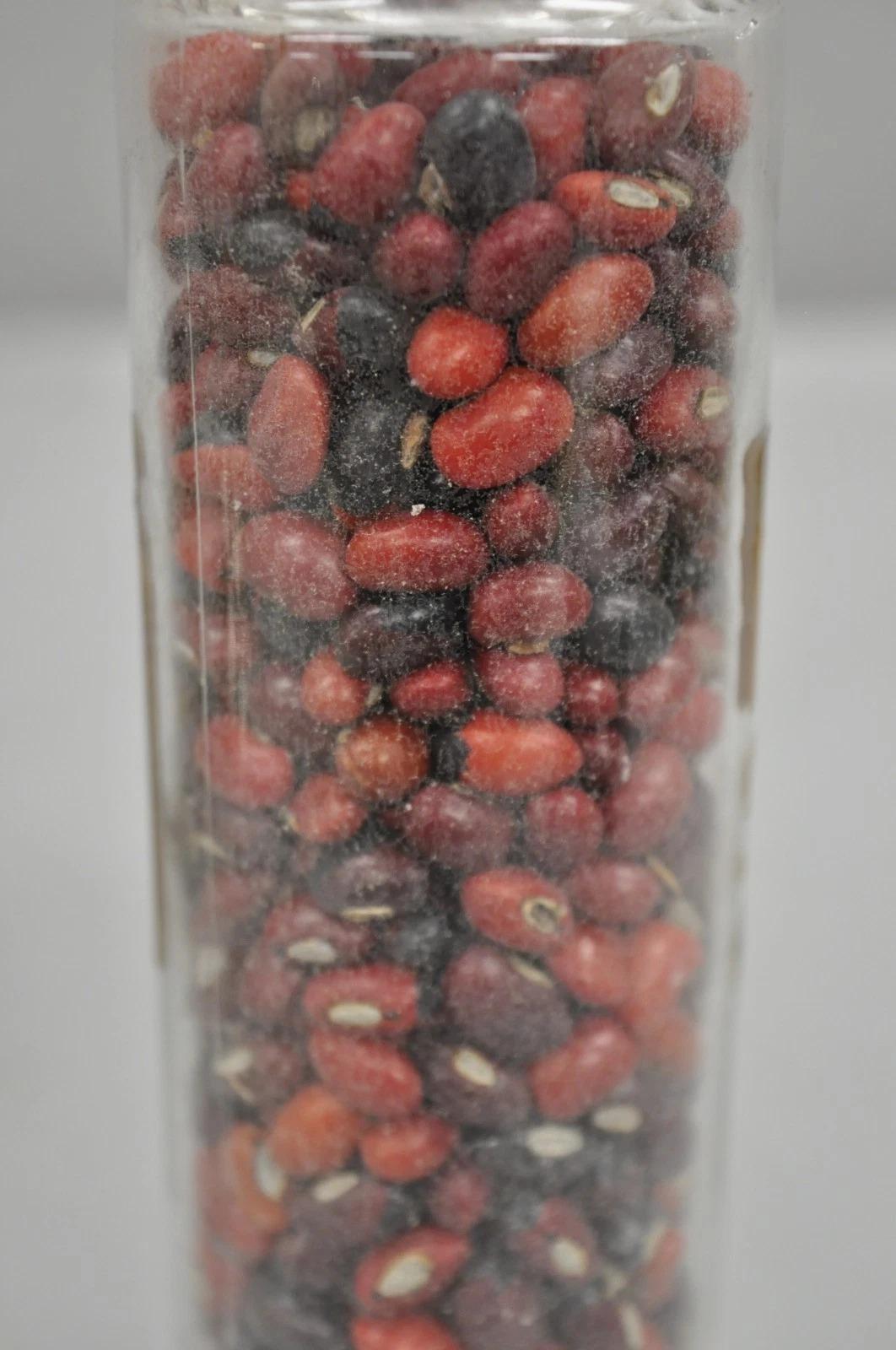 Pots à confiserie anciens en verre Dakota de Tiffin du Philadelphia Museum en vente 6