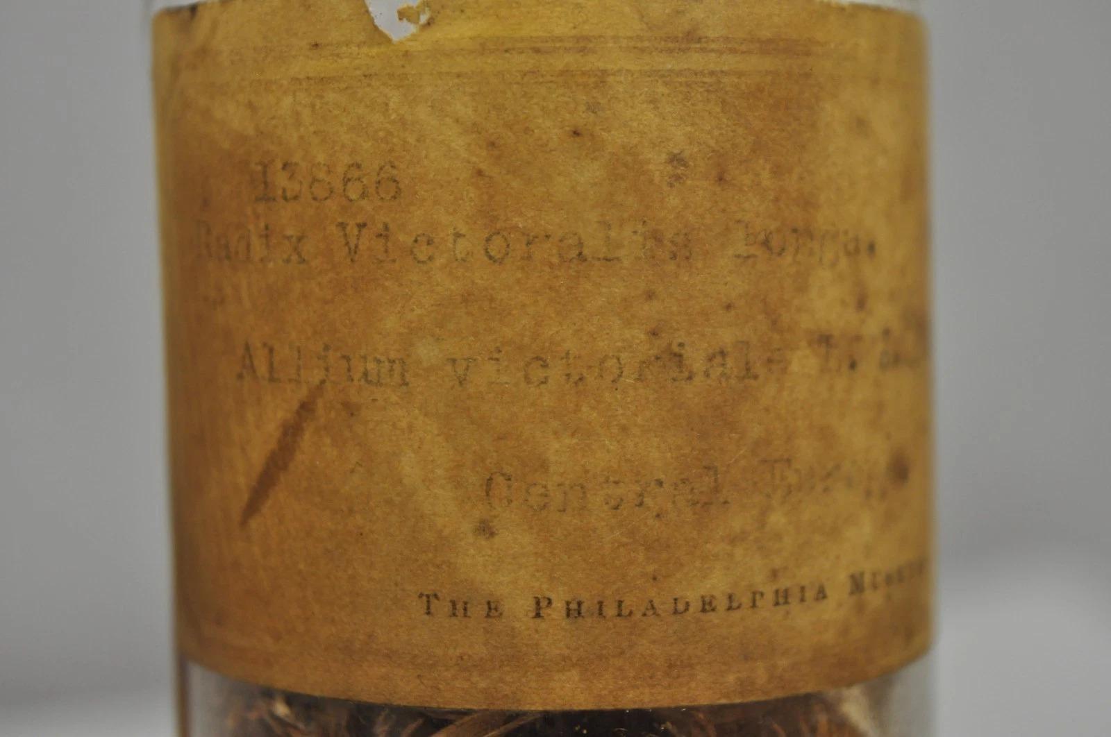 20ième siècle Pots à confiserie anciens en verre Dakota de Tiffin du Philadelphia Museum en vente
