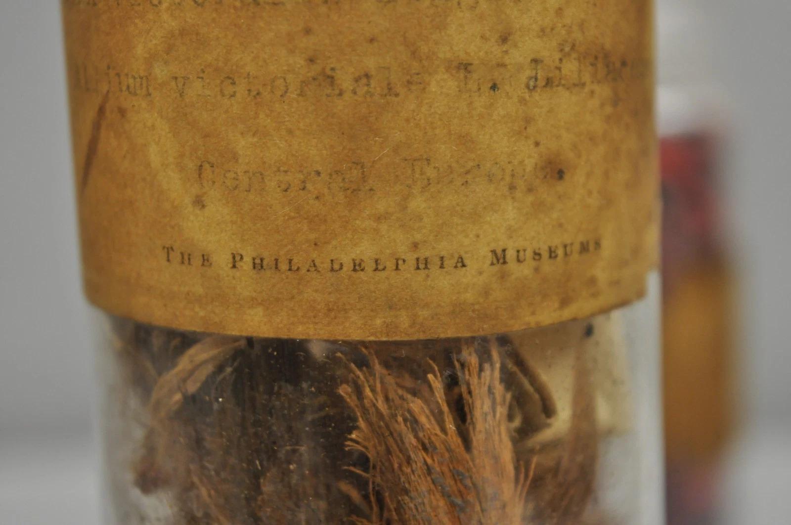 Pots à confiserie anciens en verre Dakota de Tiffin du Philadelphia Museum en vente 1