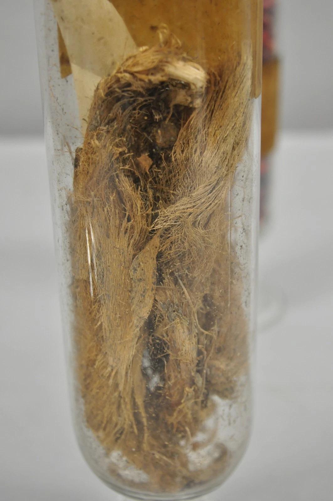 Pots à confiserie anciens en verre Dakota de Tiffin du Philadelphia Museum en vente 2