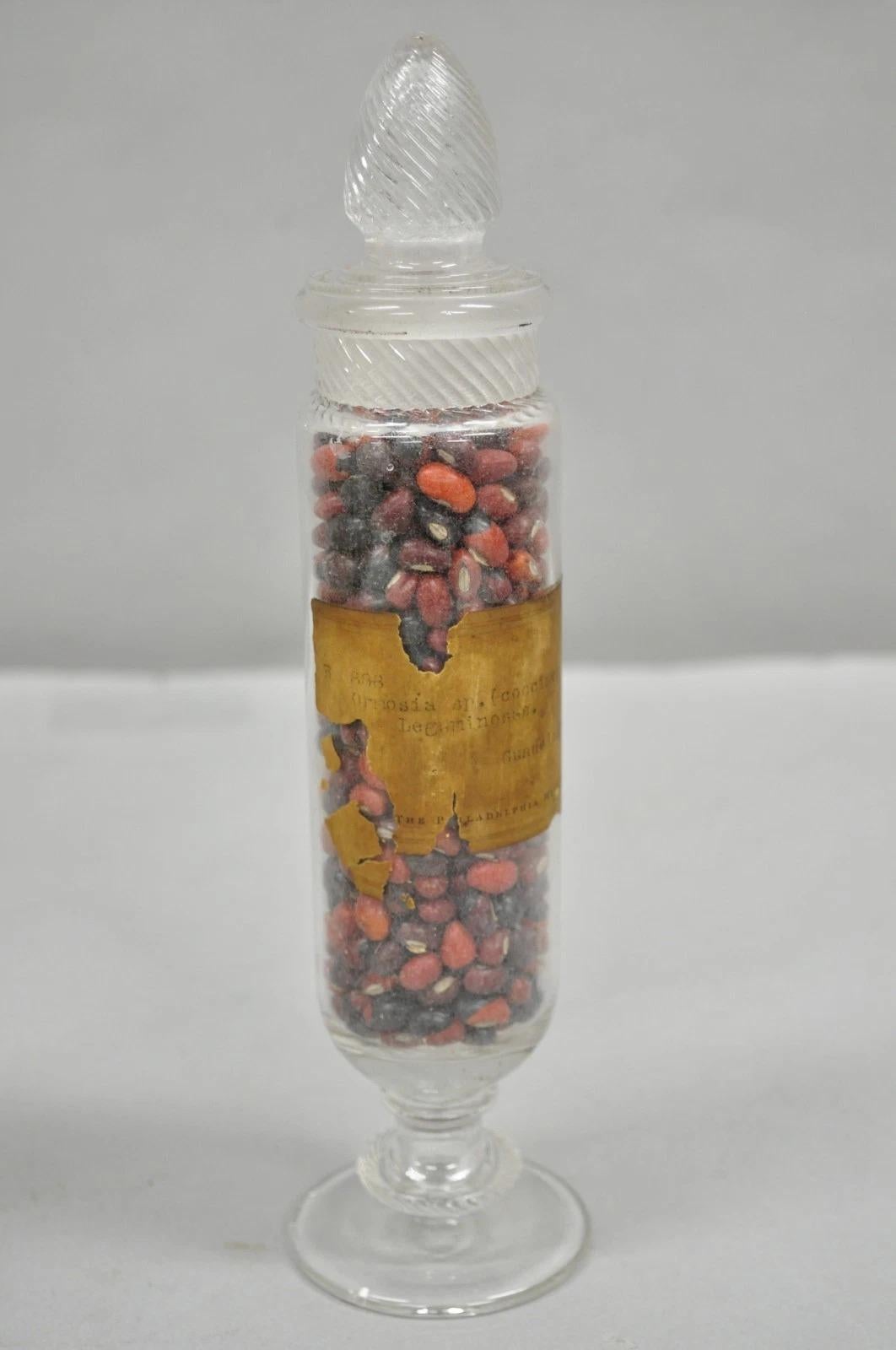 Pots à confiserie anciens en verre Dakota de Tiffin du Philadelphia Museum en vente 3