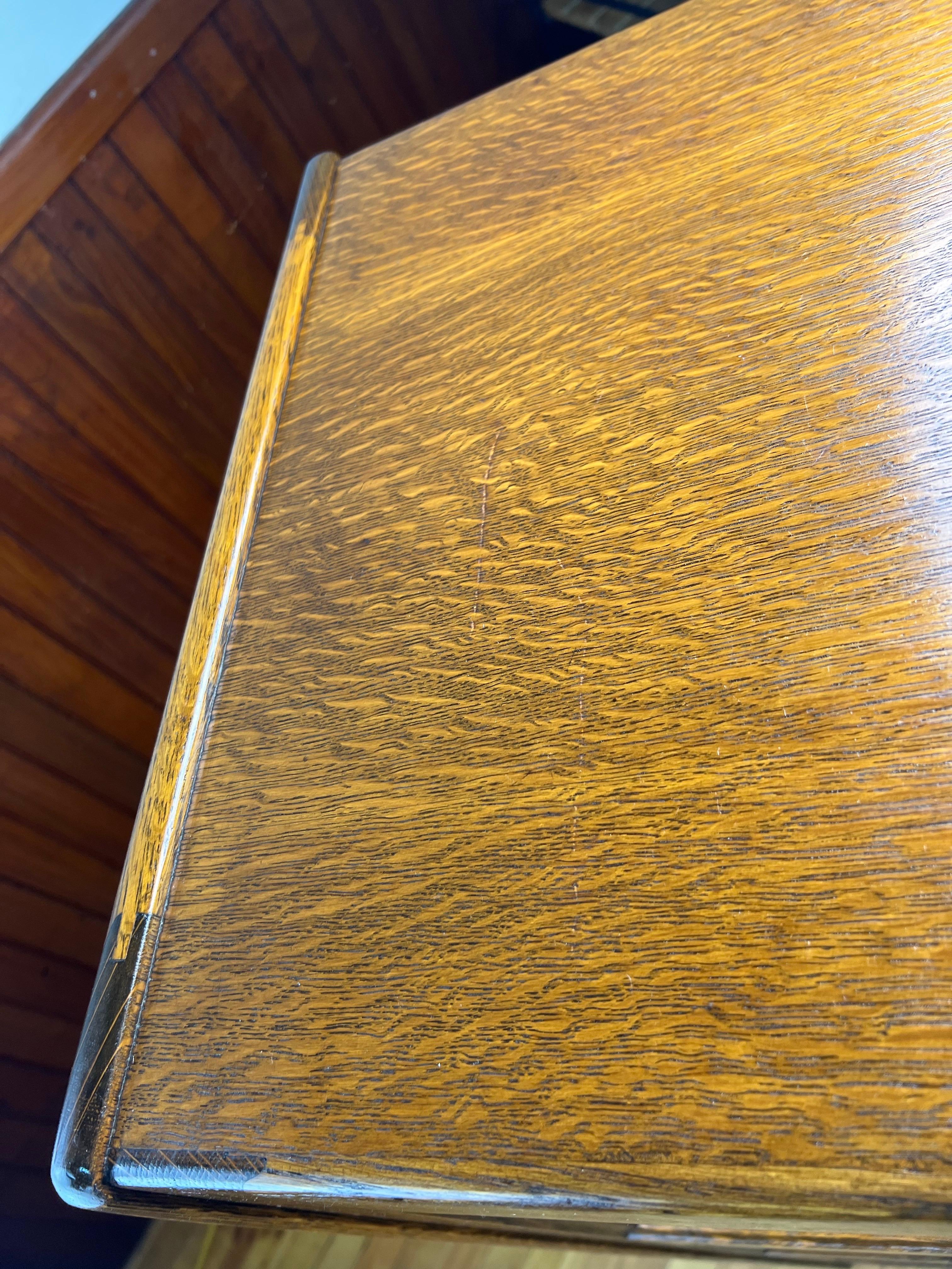 Early 20th Century Antique Tiger Oak Flat File Cabinet