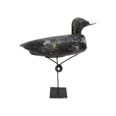 Antique Tiny Coot Decoy, circa 1900