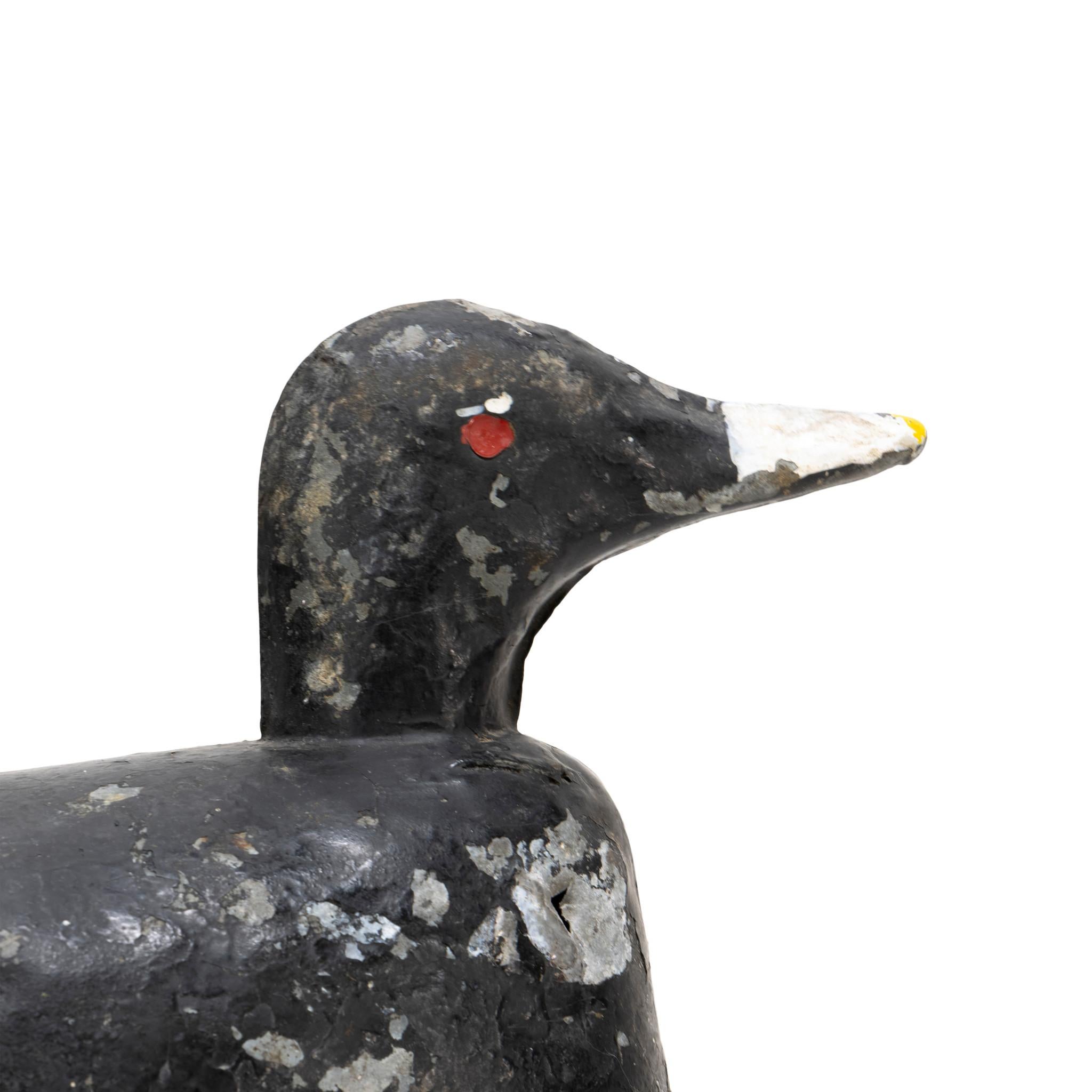 Américain Antique - Tiny Coot Decoy, vers 1900 en vente